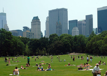 Central Park NEW