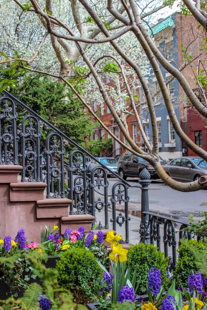 NYC Flowers