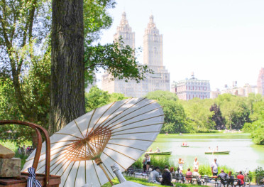 perfect picnic nyc do central park