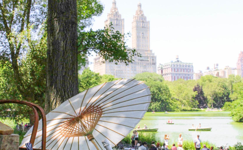 perfect picnic nyc do central park