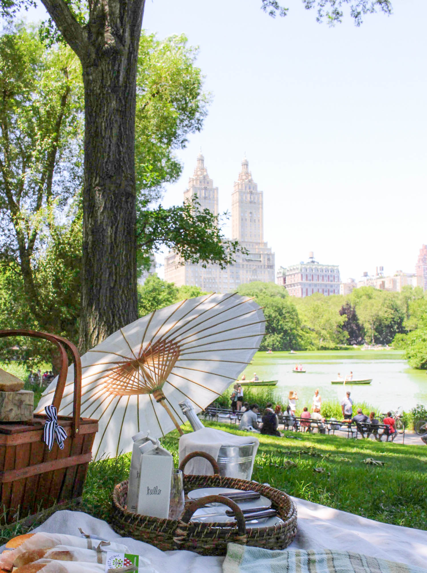 perfect picnic nyc do central park