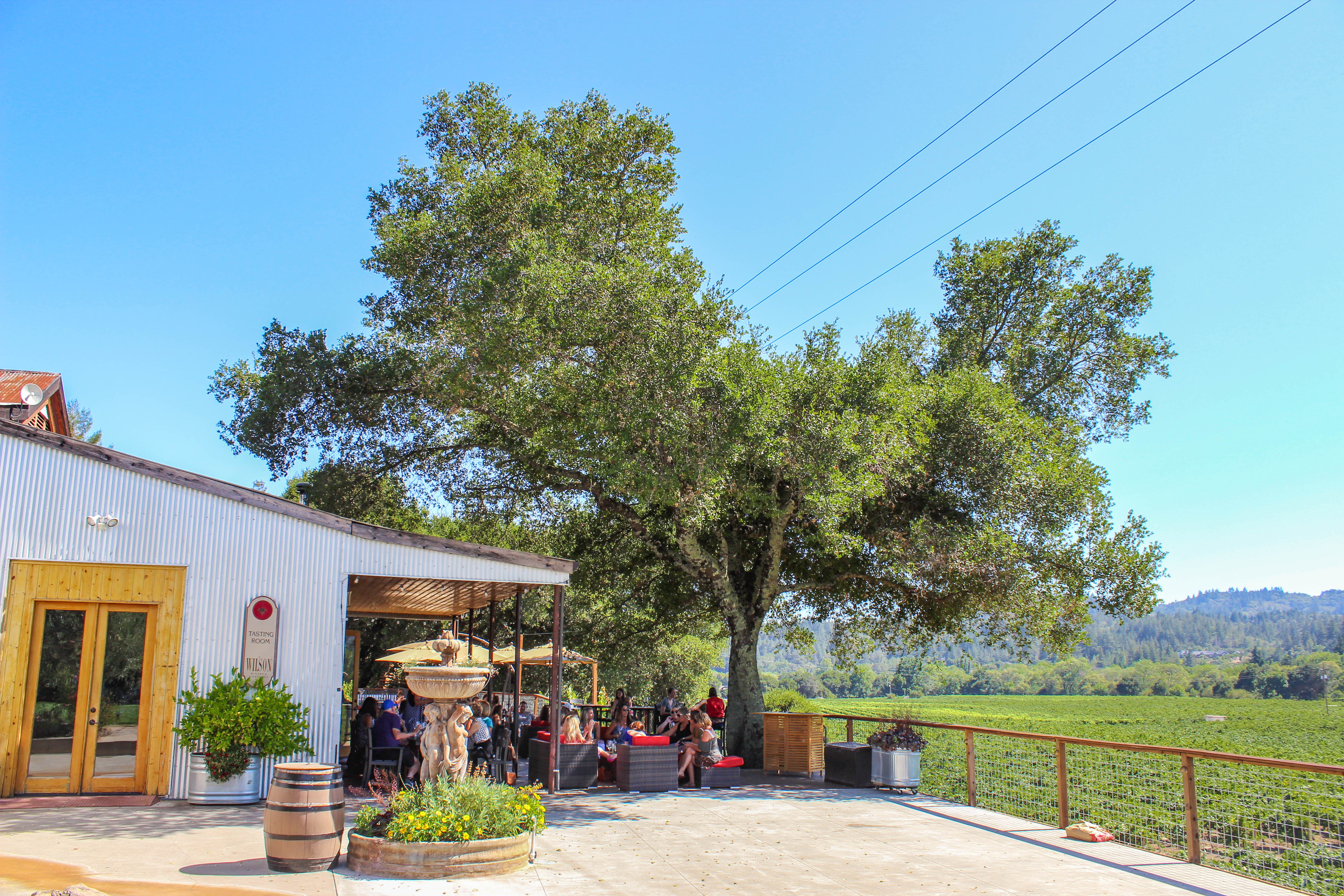 sipping though sonoma wineries vineyards california