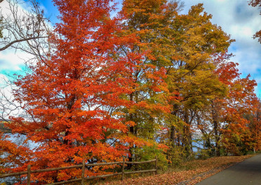 fall foliage autumn upstate leaves new york catskills hudson valley