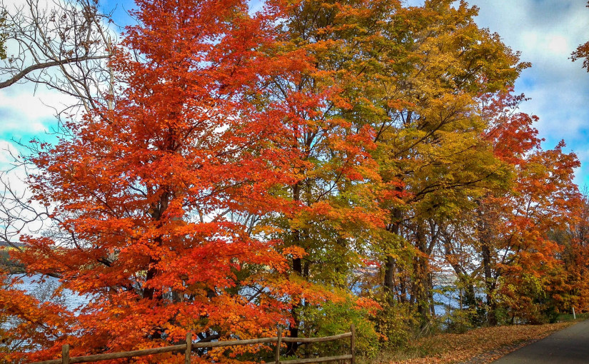 fall foliage autumn upstate leaves new york catskills hudson valley