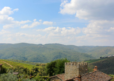 Fattoria di Montemaggio Tuscany ITALY