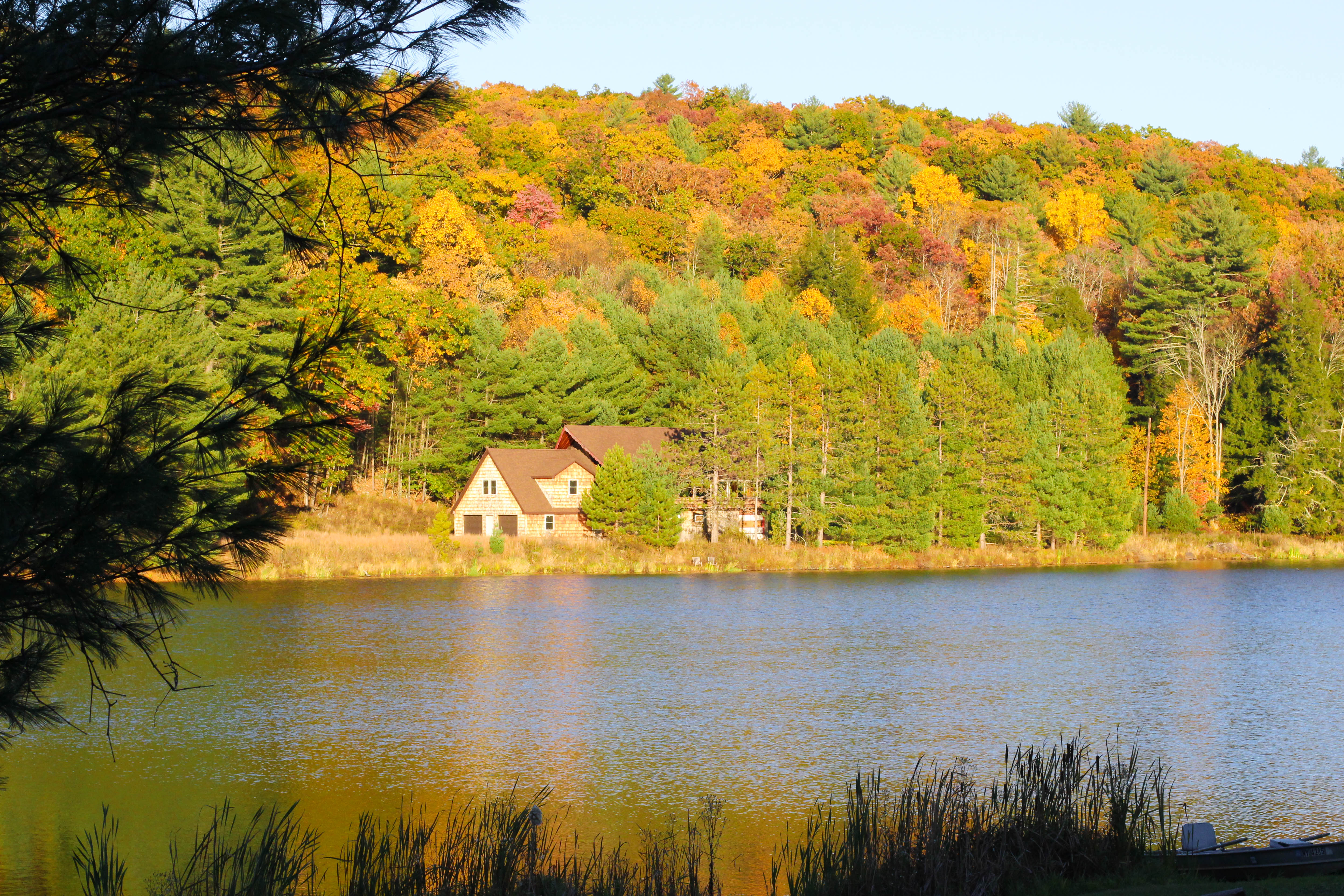 Upstate Fall Foliage