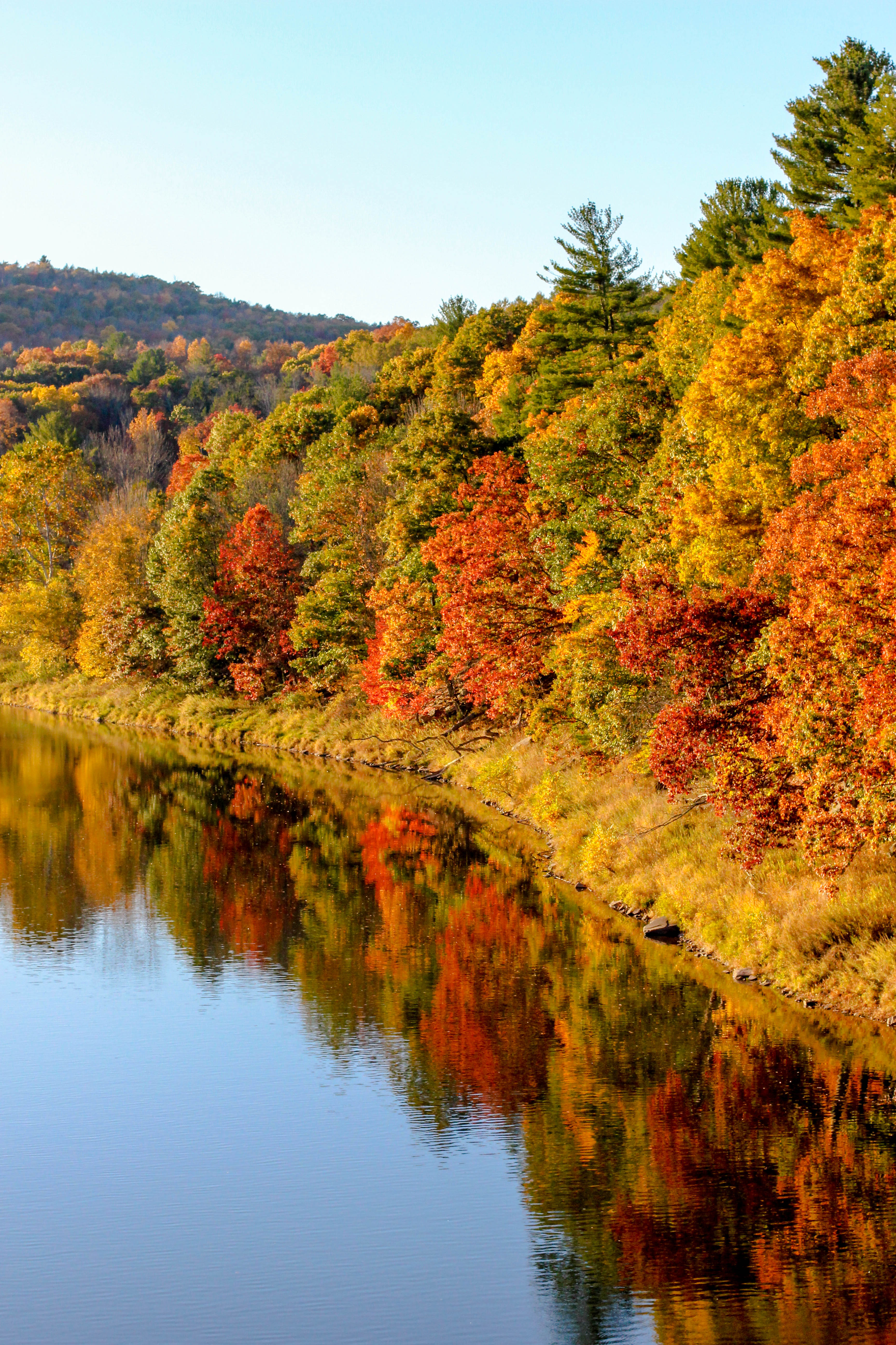 Upstate Fall Foliage