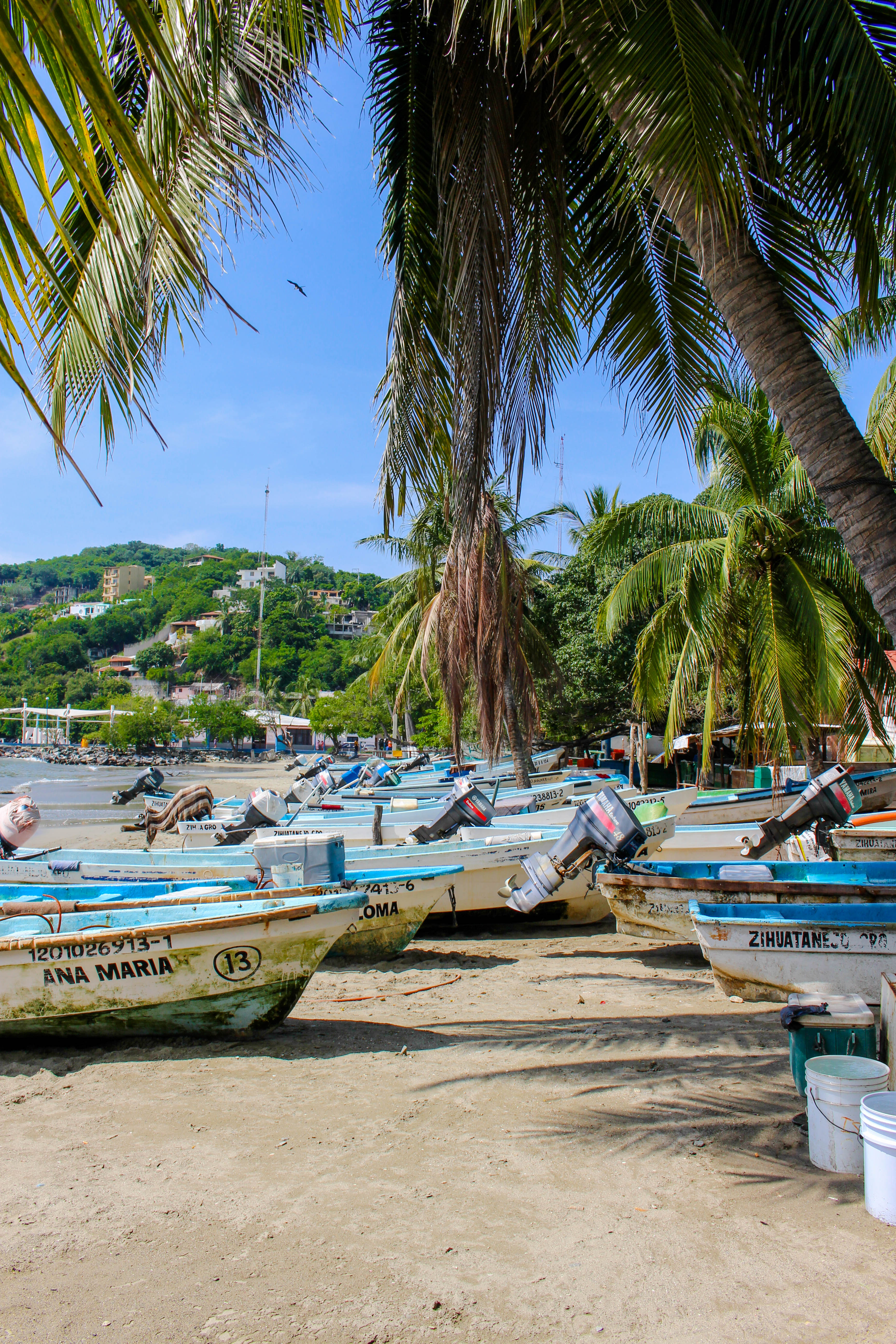 Fishing Ixtapa Guide Mexico