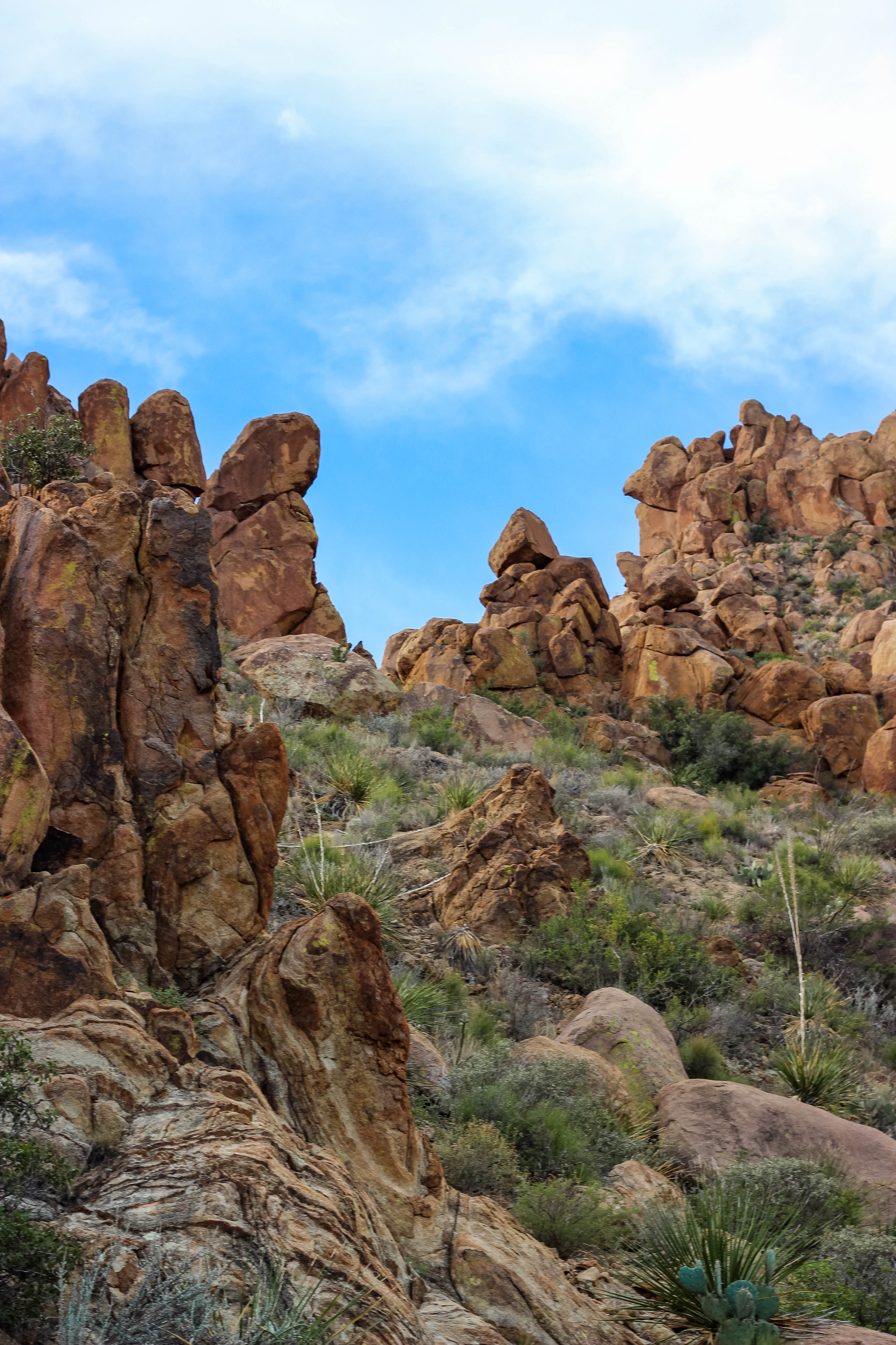 Big Bend National Park Texas