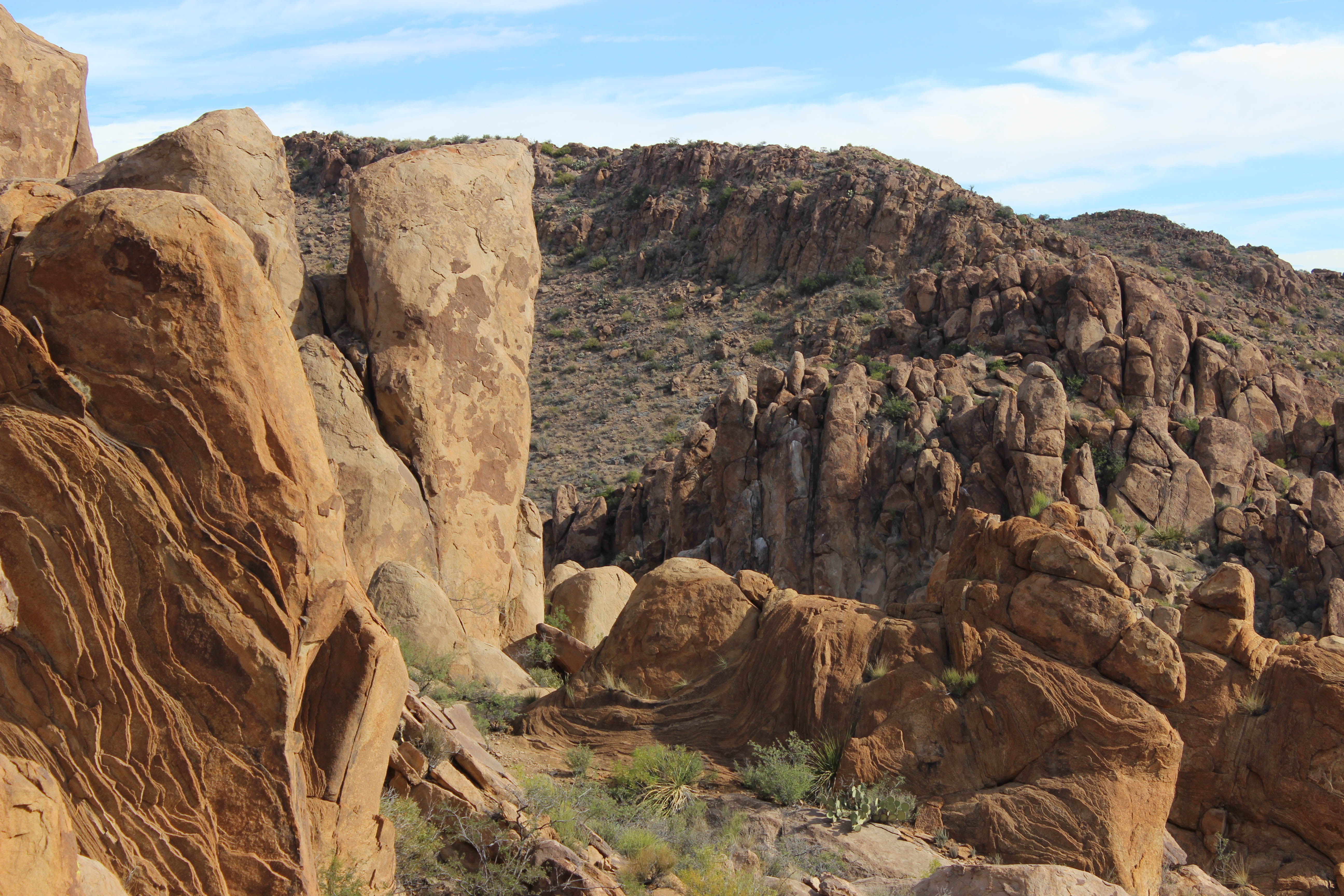 Big Bend National Park Texas