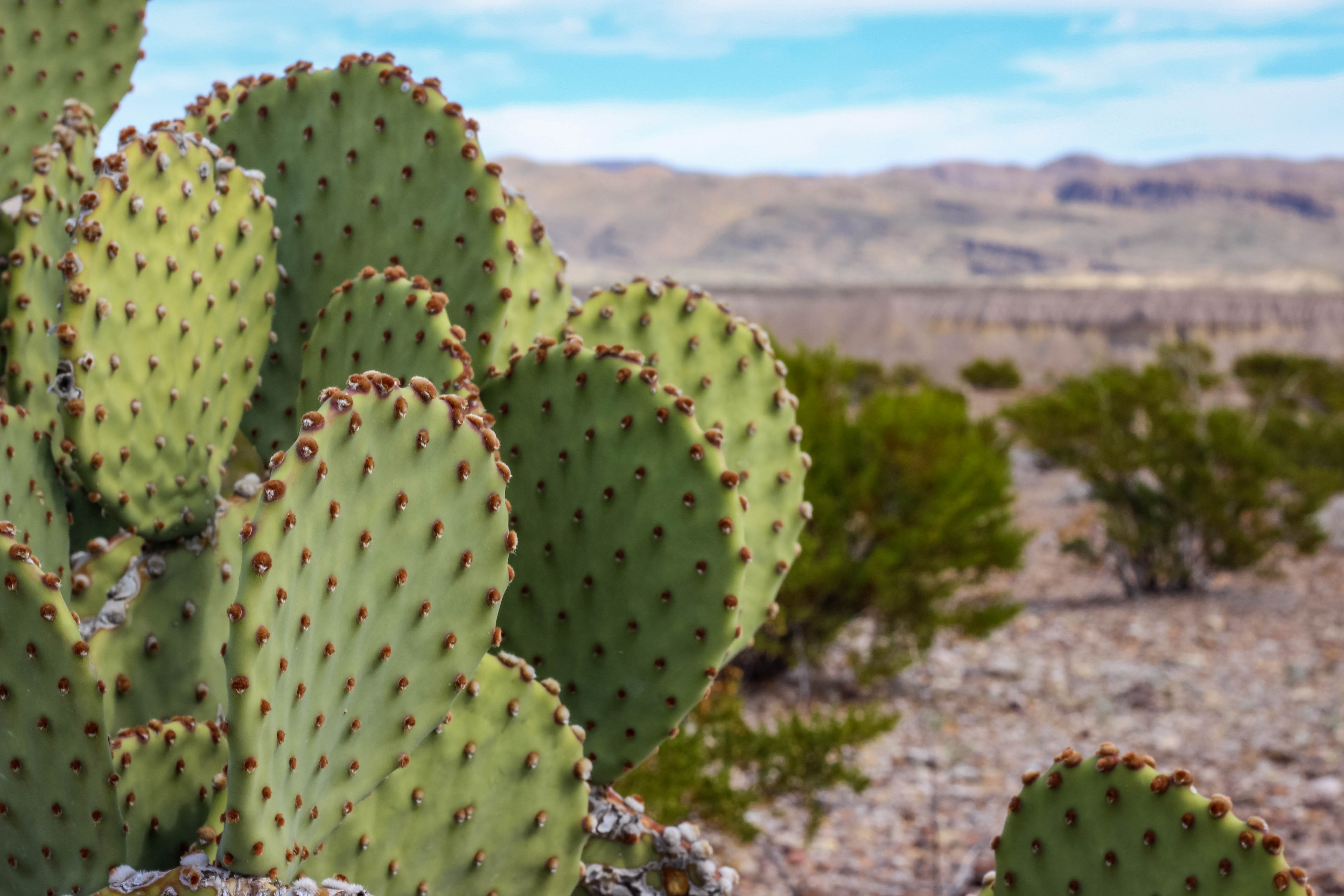 Big Bend National Park Texas