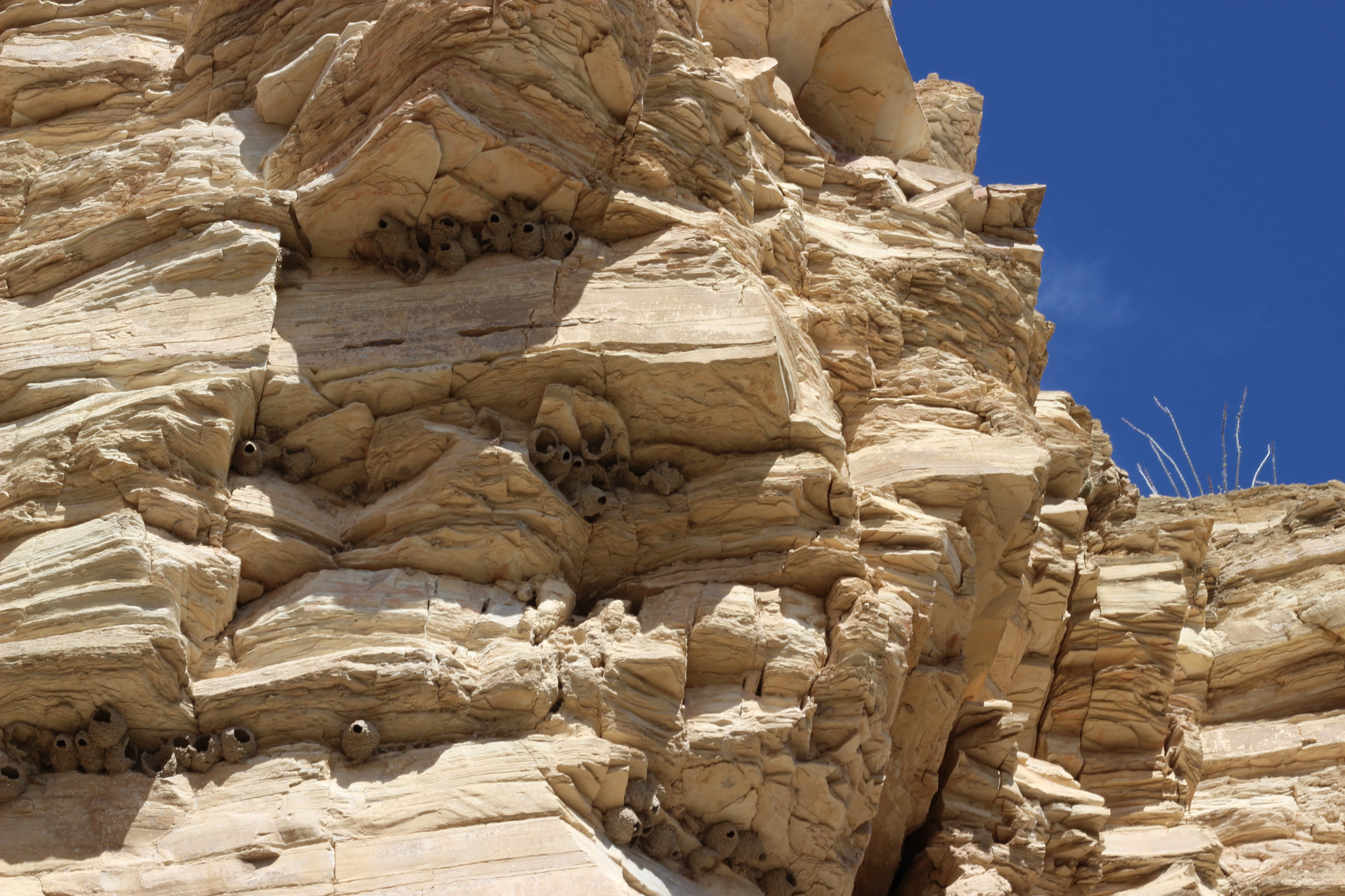 Big Bend National Park Texas