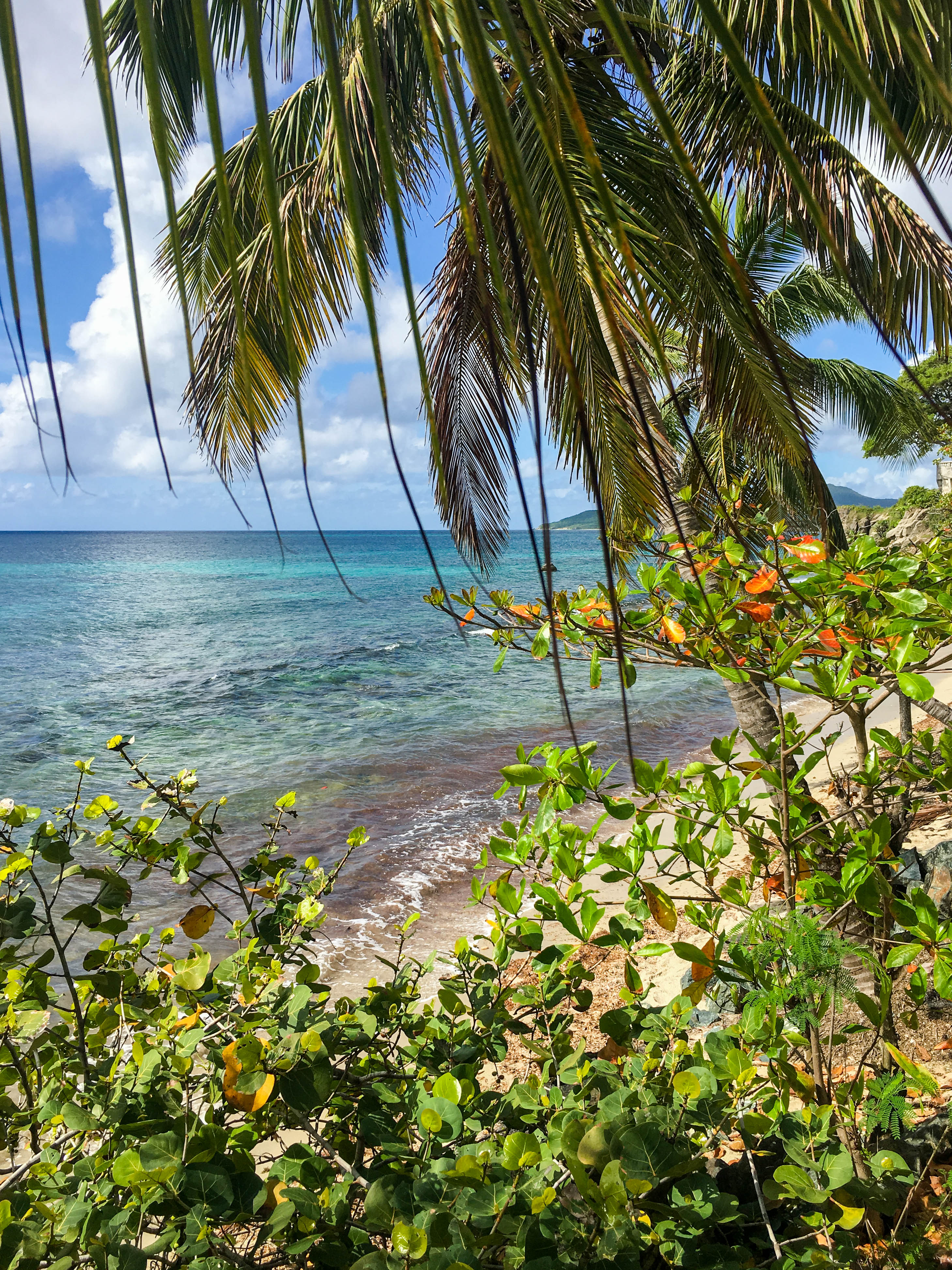 El Blok Vieques Puerto Rico