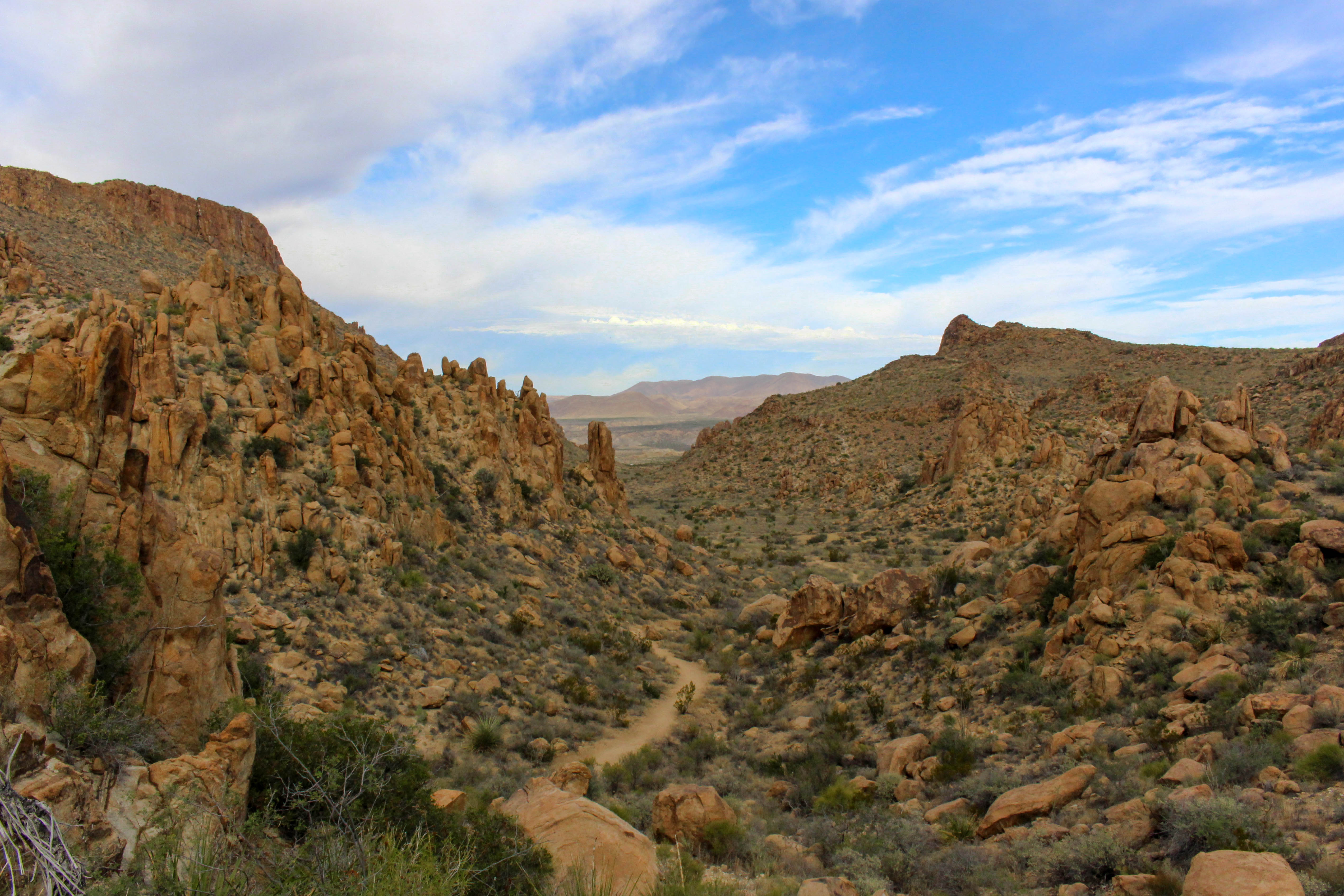 Big Bend West Texas Destination Guide