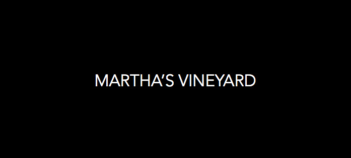 Martha's Vineyard City Guide - Shades of Pinck