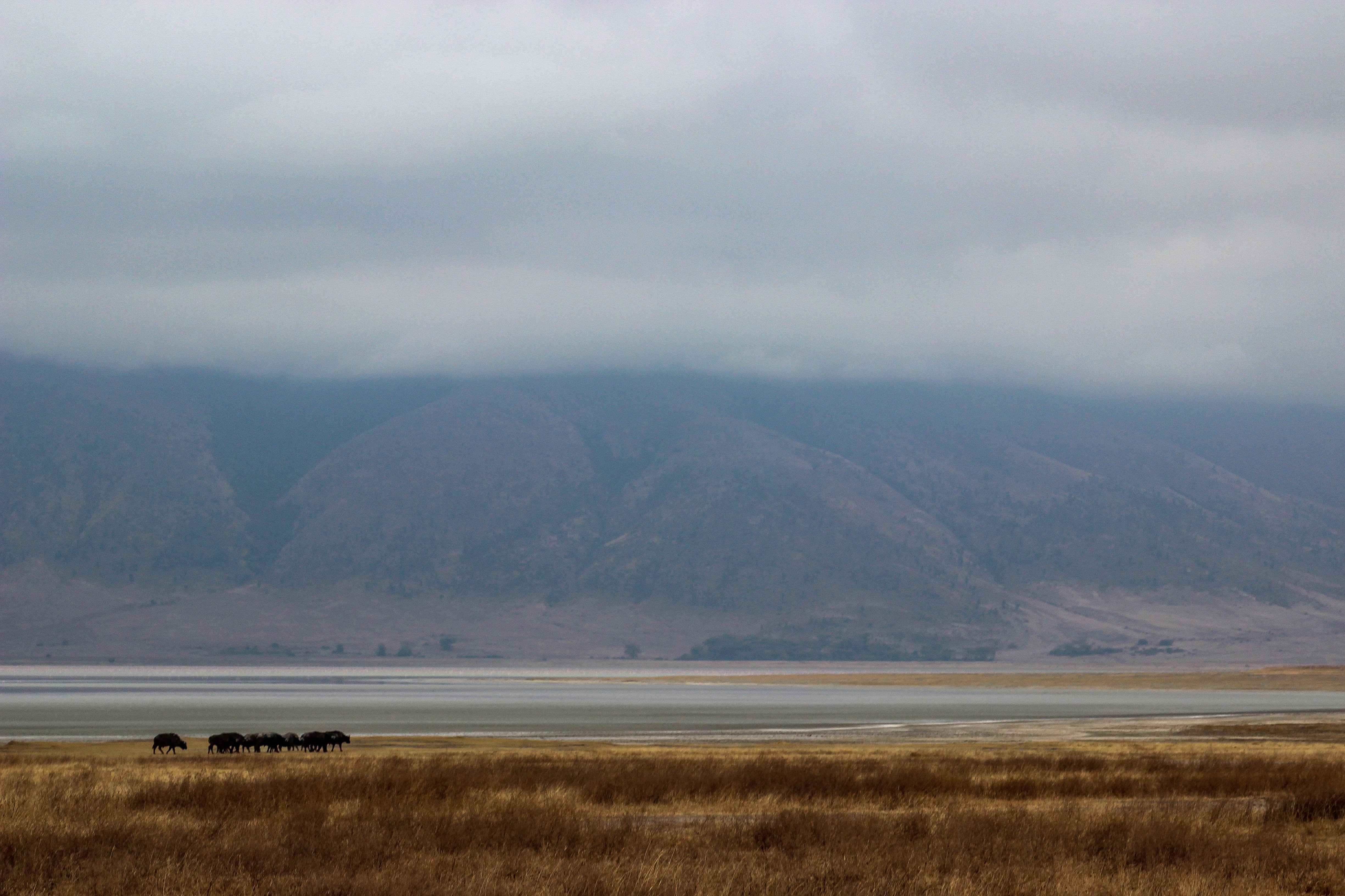 Ngorongoro Crater Tanzania Lemala tented camp