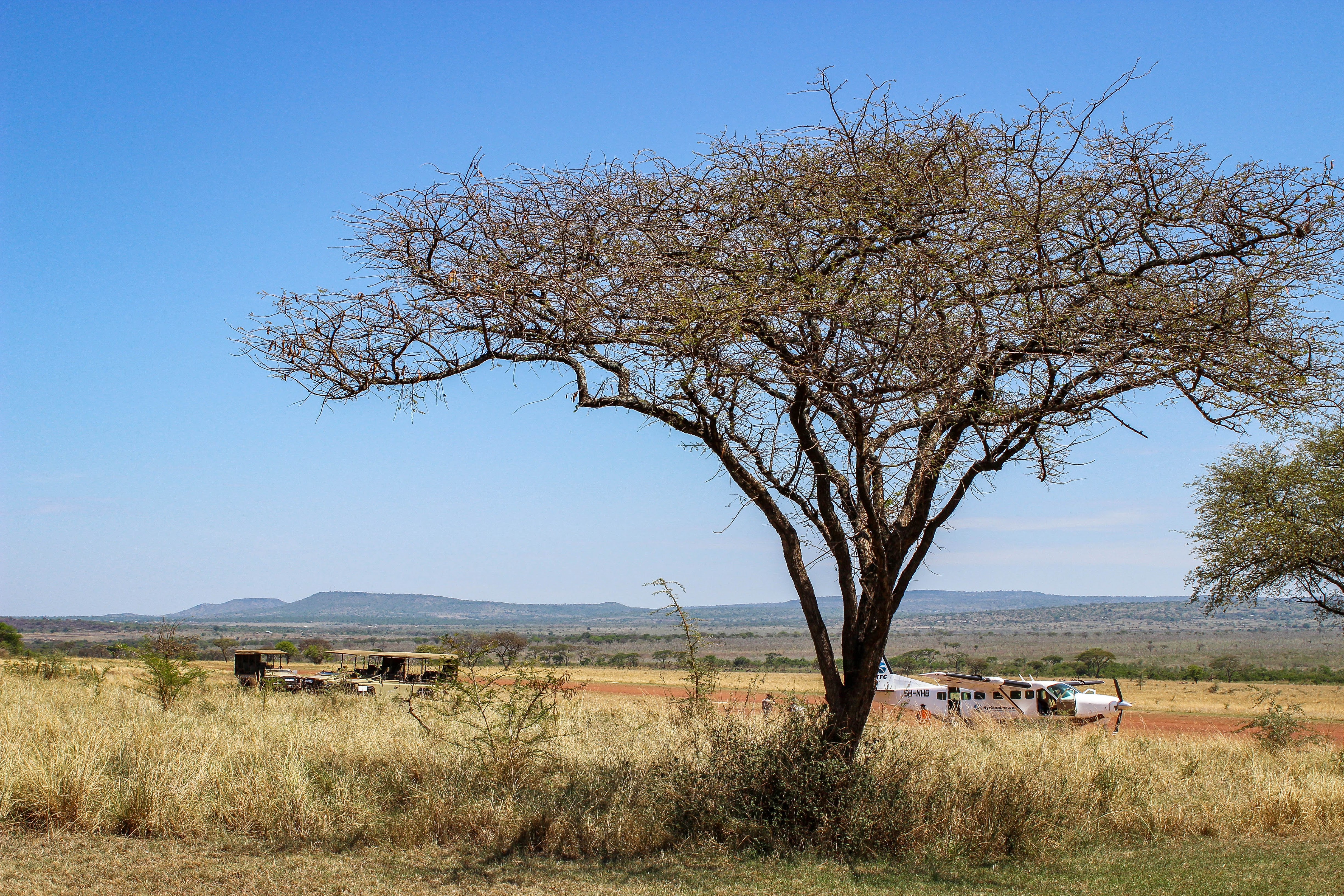 tanzania serengeti africa safari singita faru faru