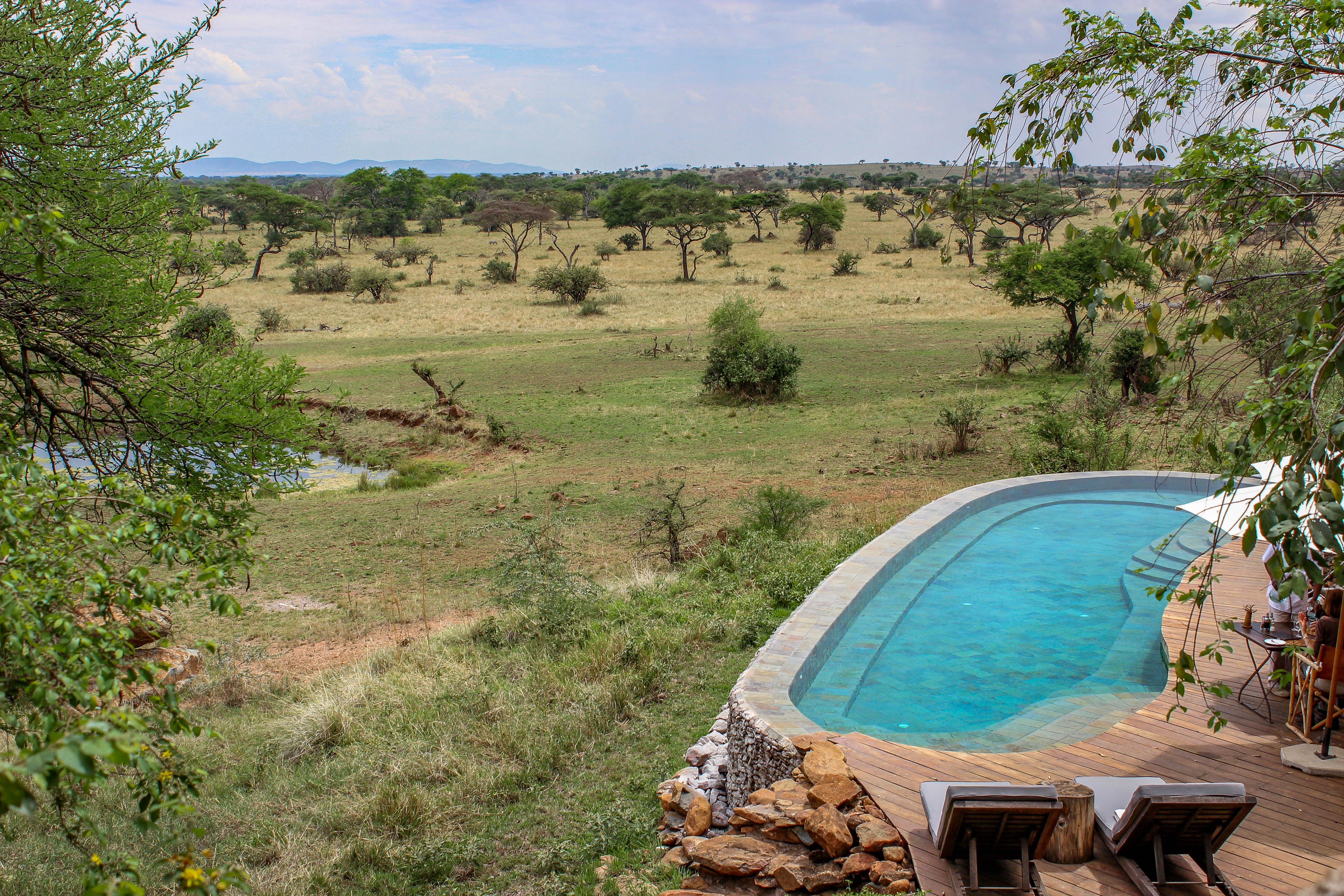 tanzania serengeti africa safari singita faru faru