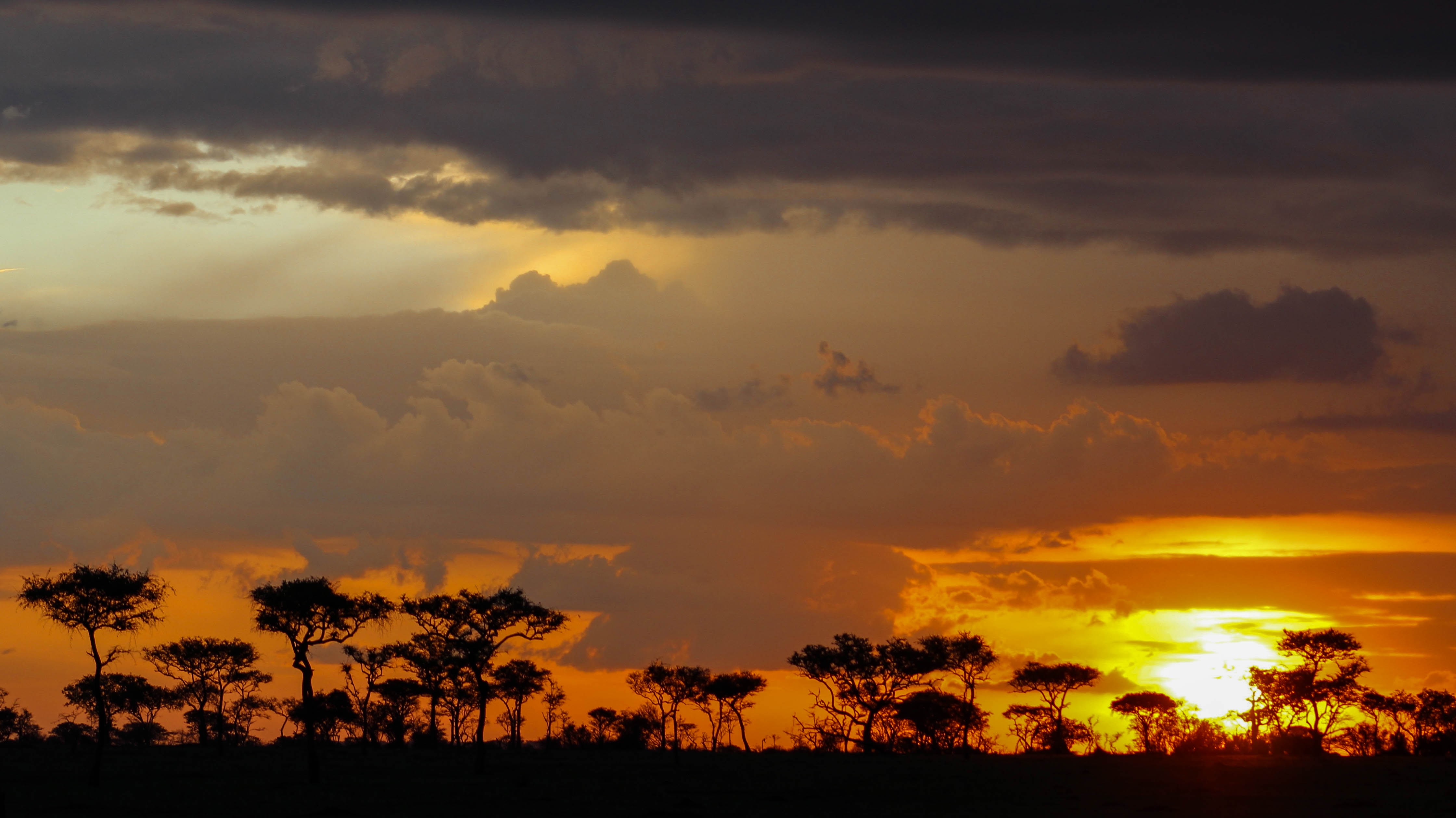 tanzania serengeti africa safari singita faru faru