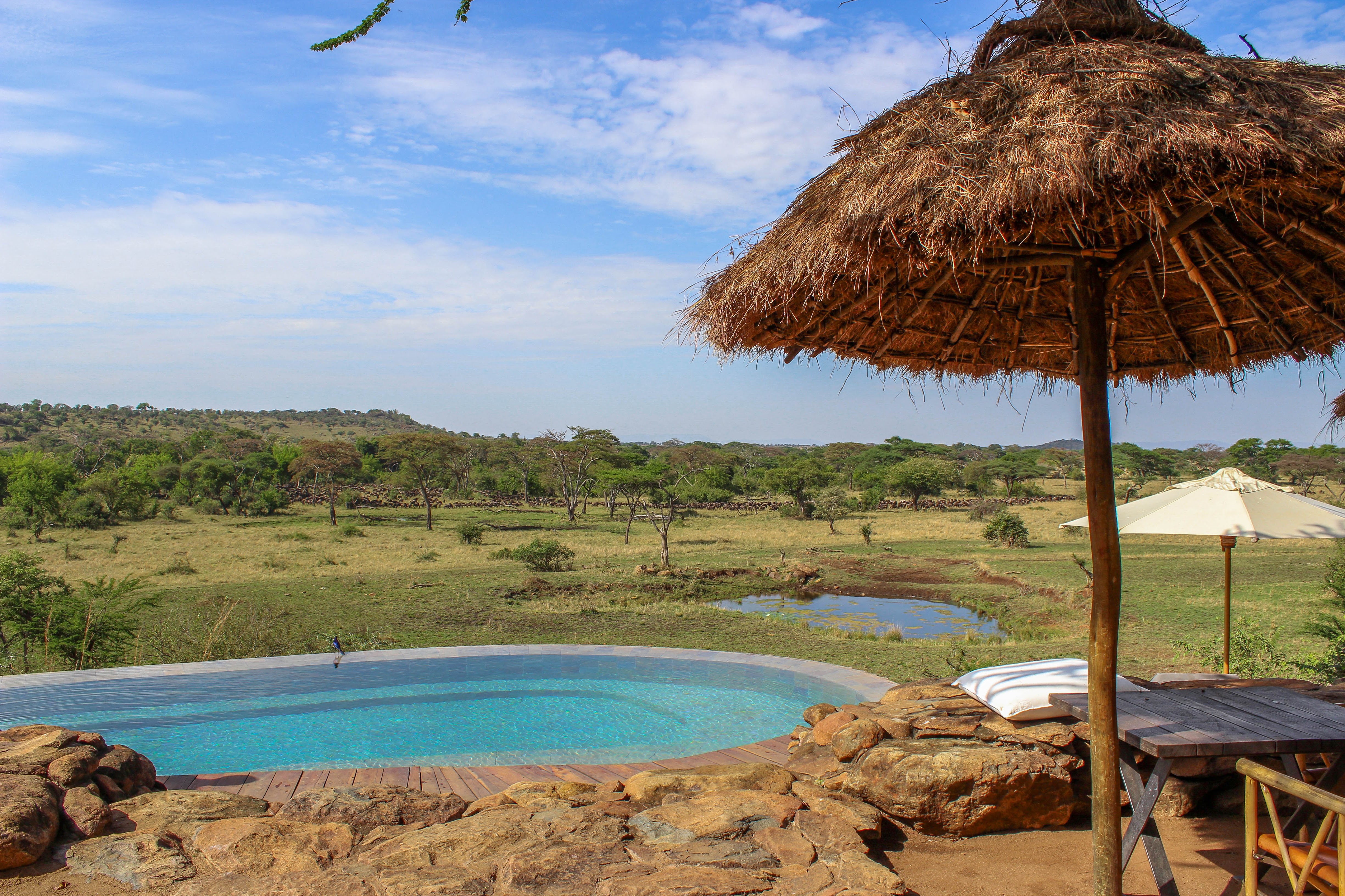 tanzania serengeti africa safari singita faru faru