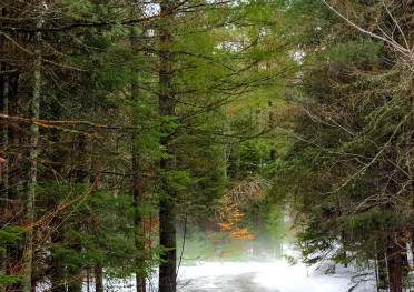 Adirondacks New York Upstate Whiteface Lodge Lake Placid