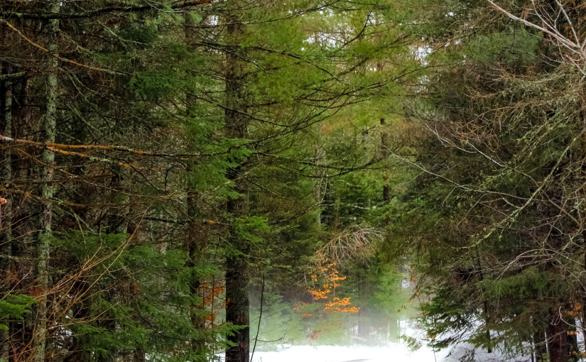 Adirondacks New York Upstate Whiteface Lodge Lake Placid