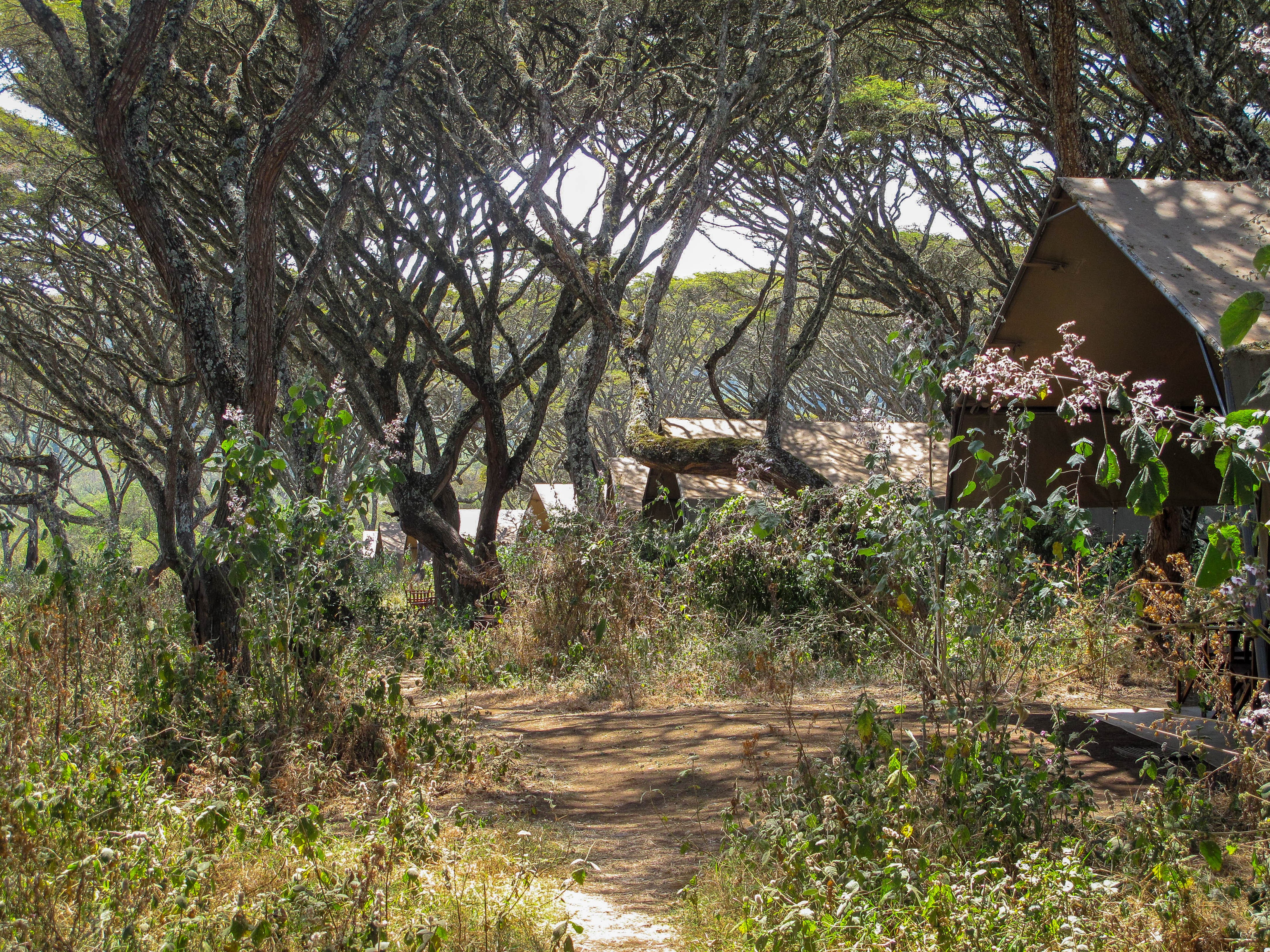 Ngorongoro Crater Tanzania Lemala tented camp