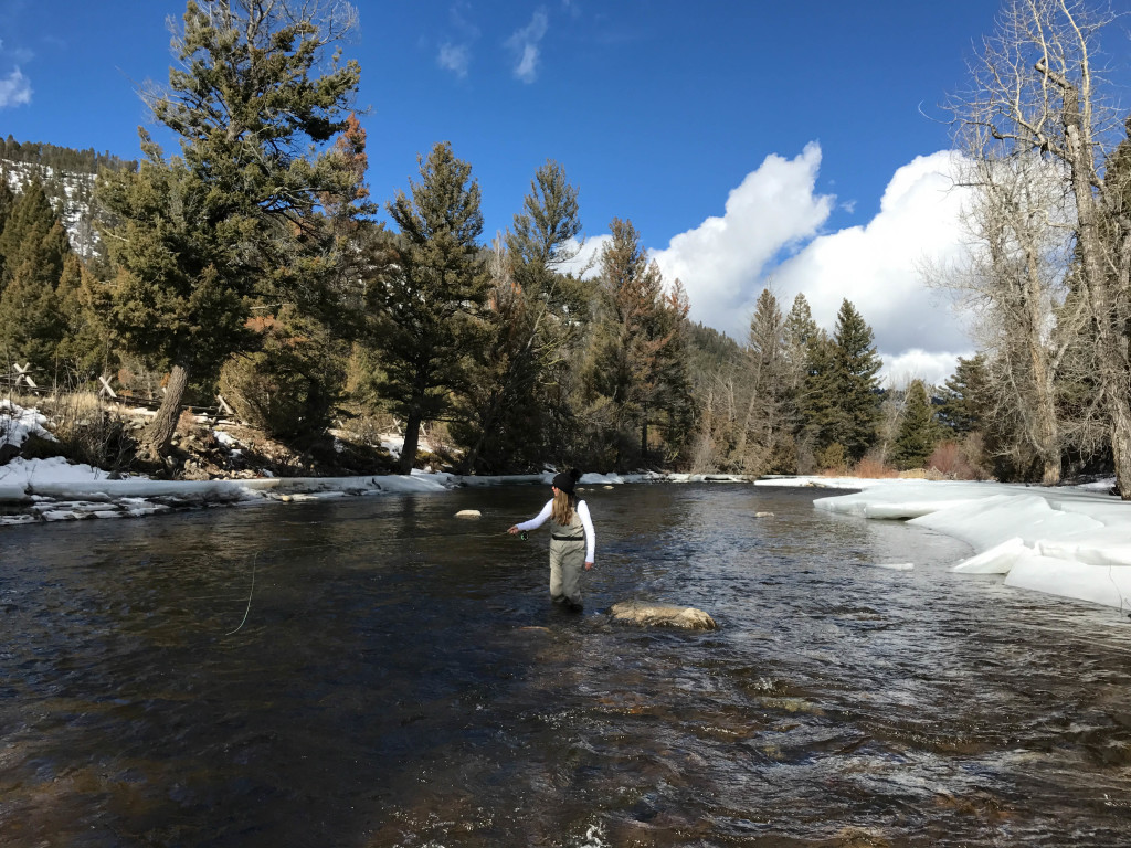 Montana Ranch at Rock Creek