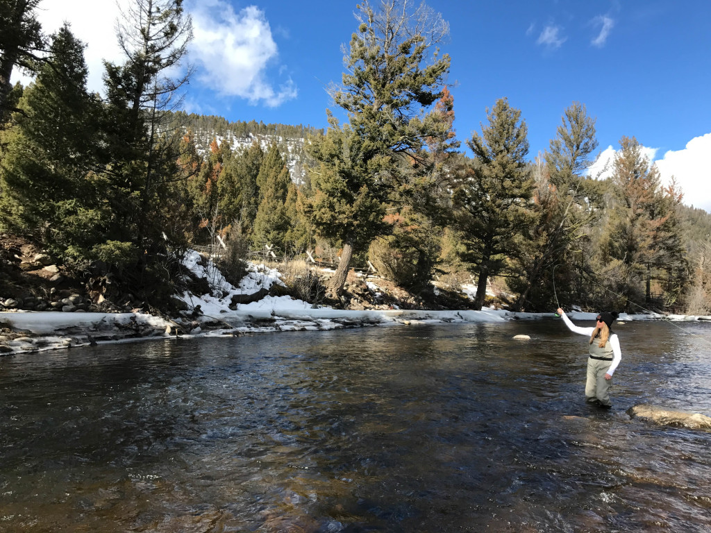 Montana Ranch at Rock Creek