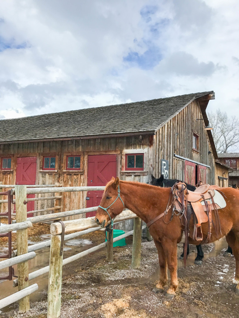 Montana Ranch at Rock Creek