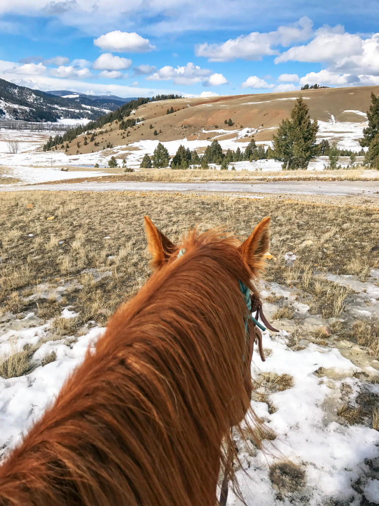 Montana Ranch at Rock Creek