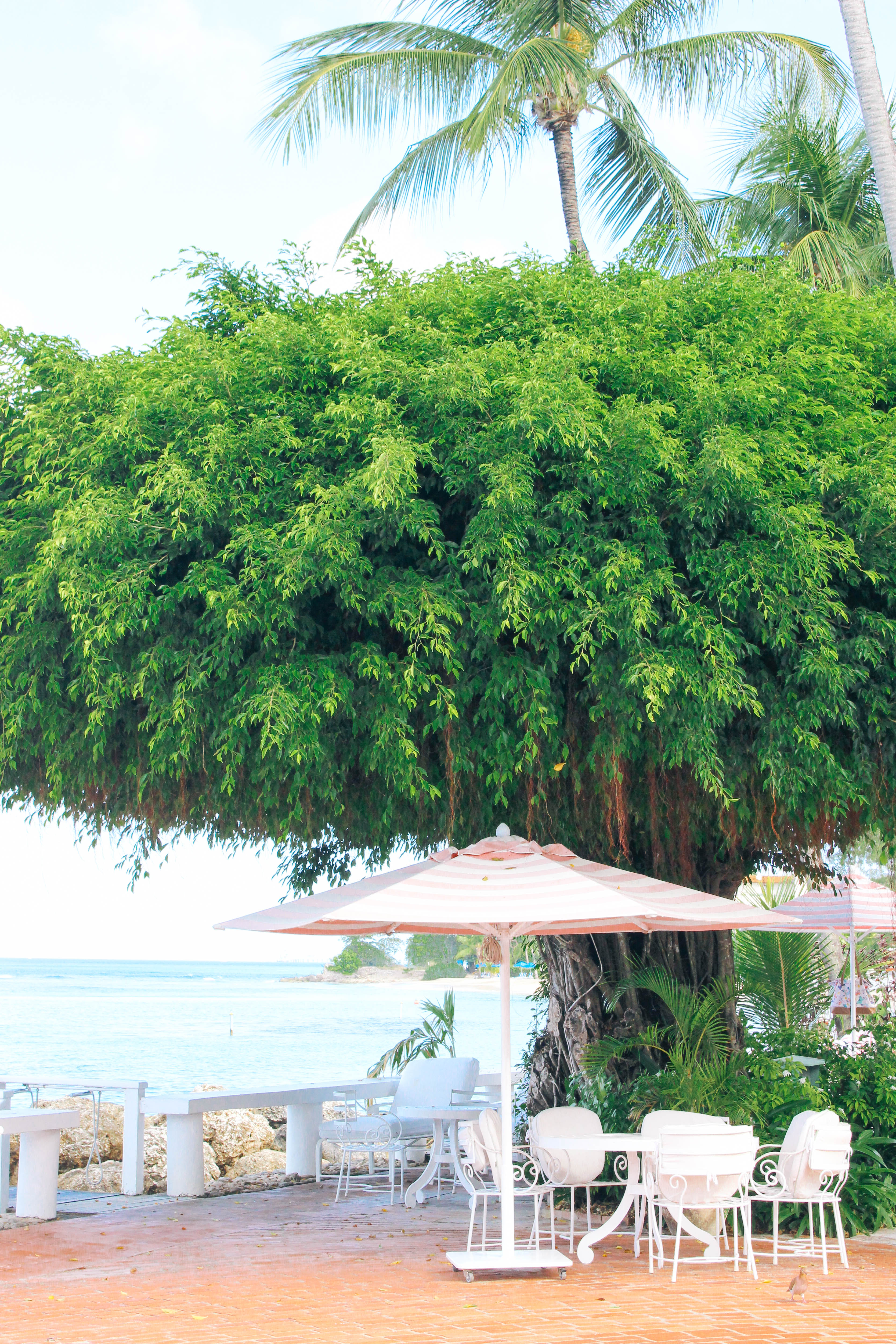 Barbados Cobblers Cove