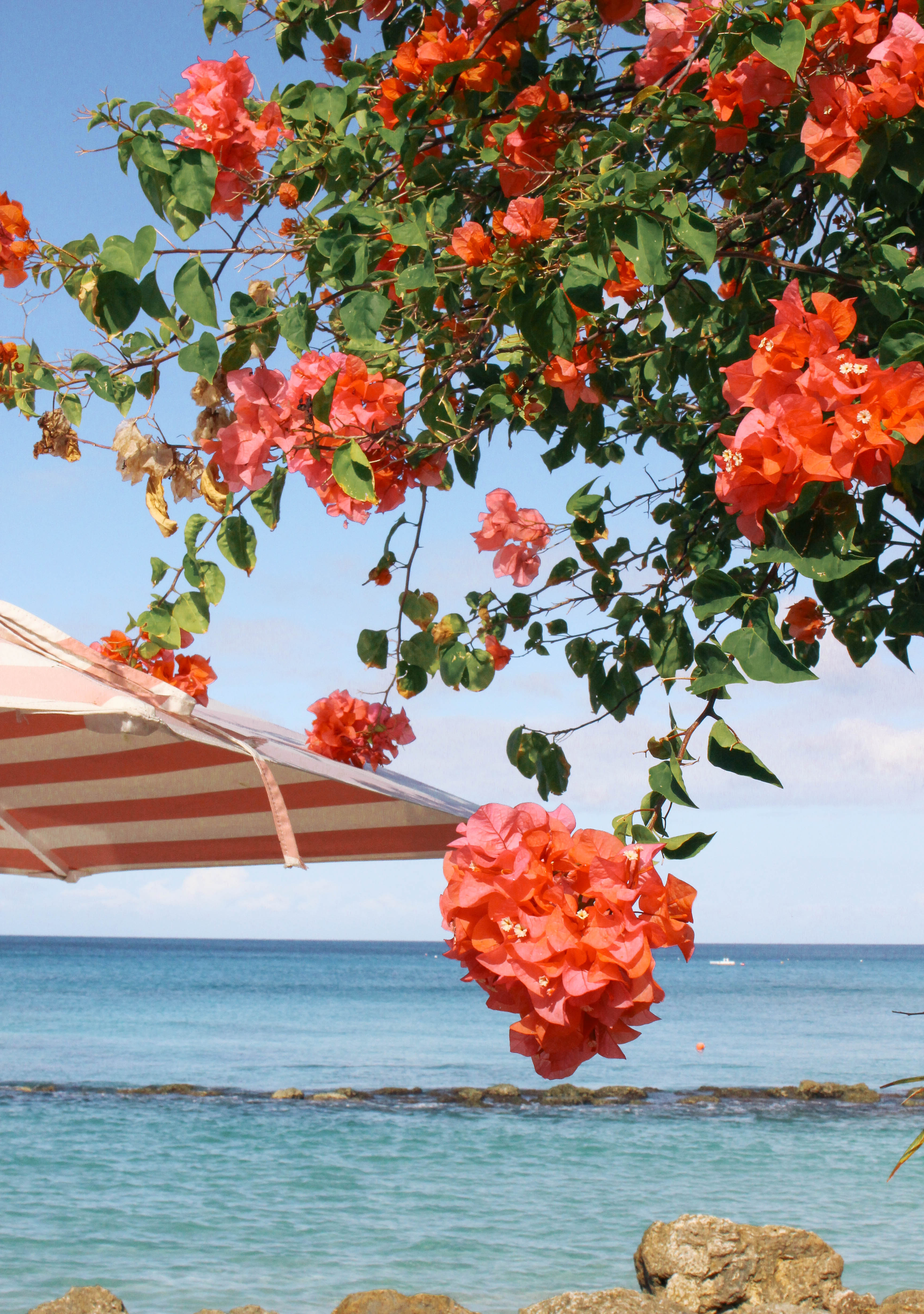 Barbados Cobblers Cove