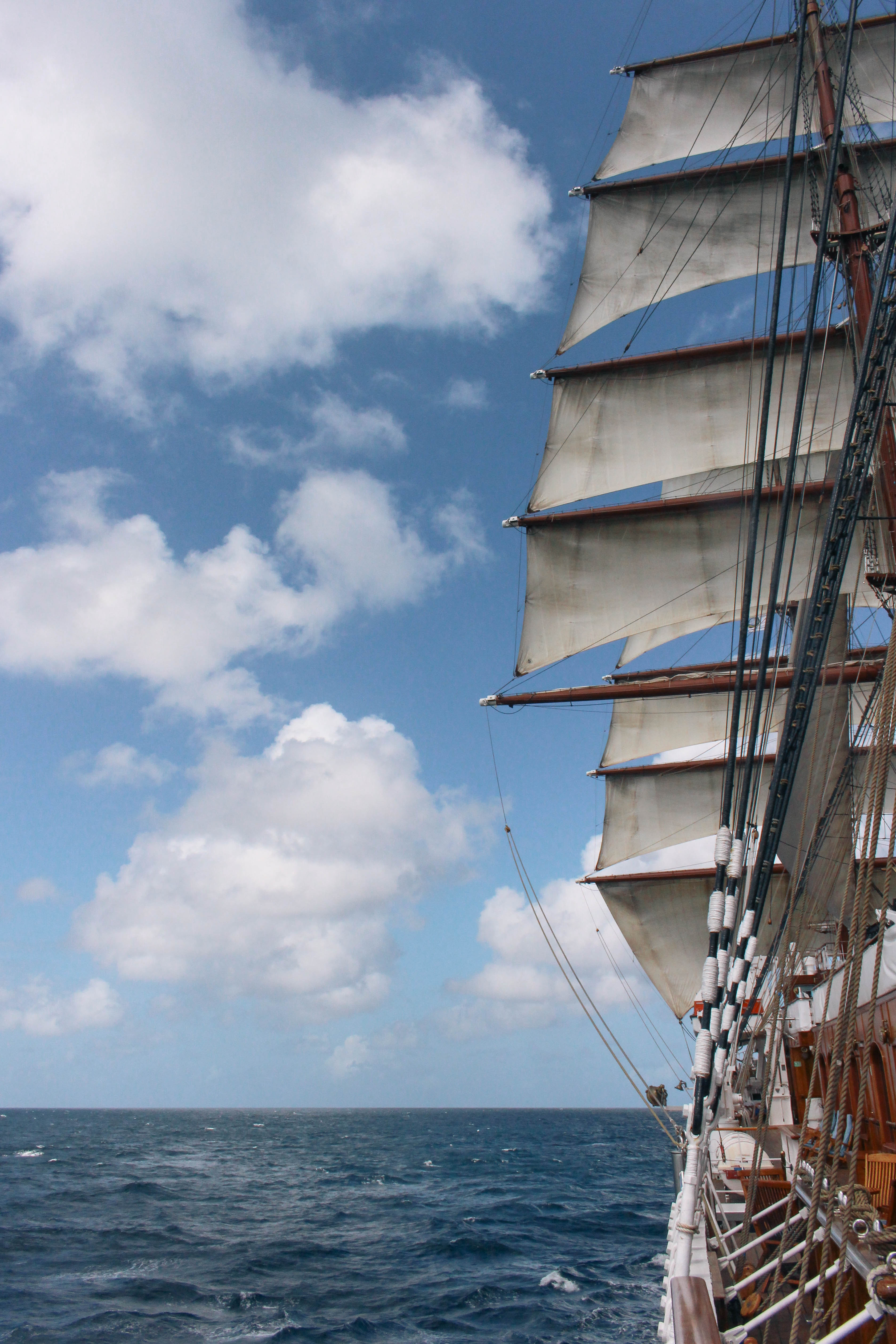 Sea Cloud 2