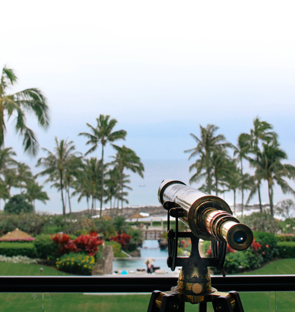 Montage Kapalua Bay Maui