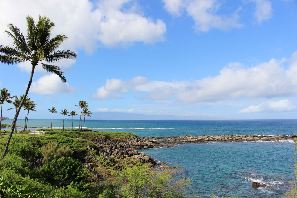 Montage Kapalua Bay Maui