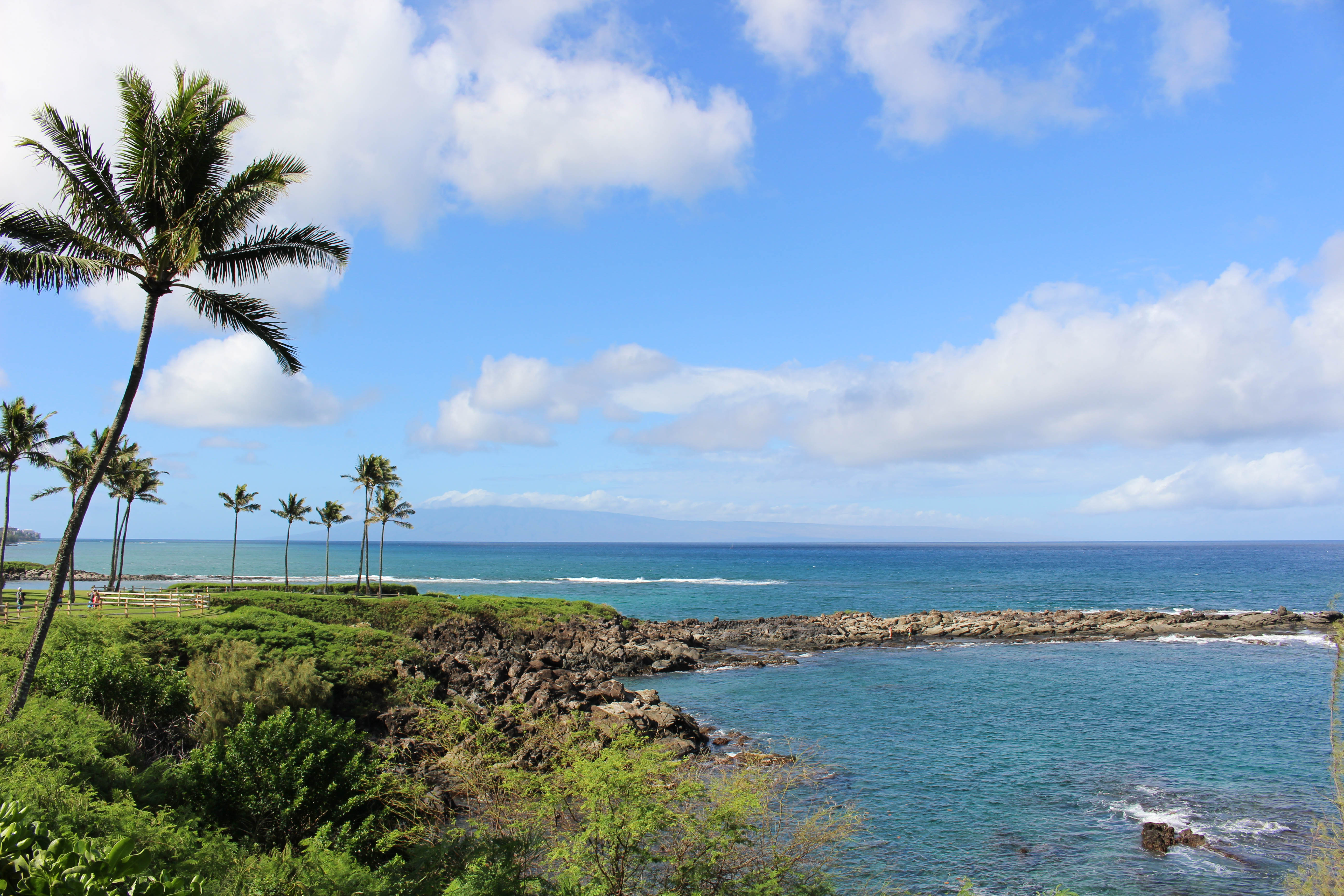 montage kapalua bay