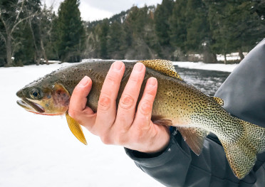 the ranch at rock creek montana fly fishing