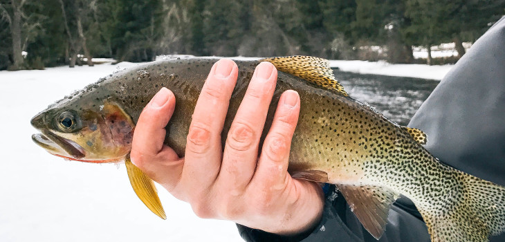 the ranch at rock creek montana fly fishing