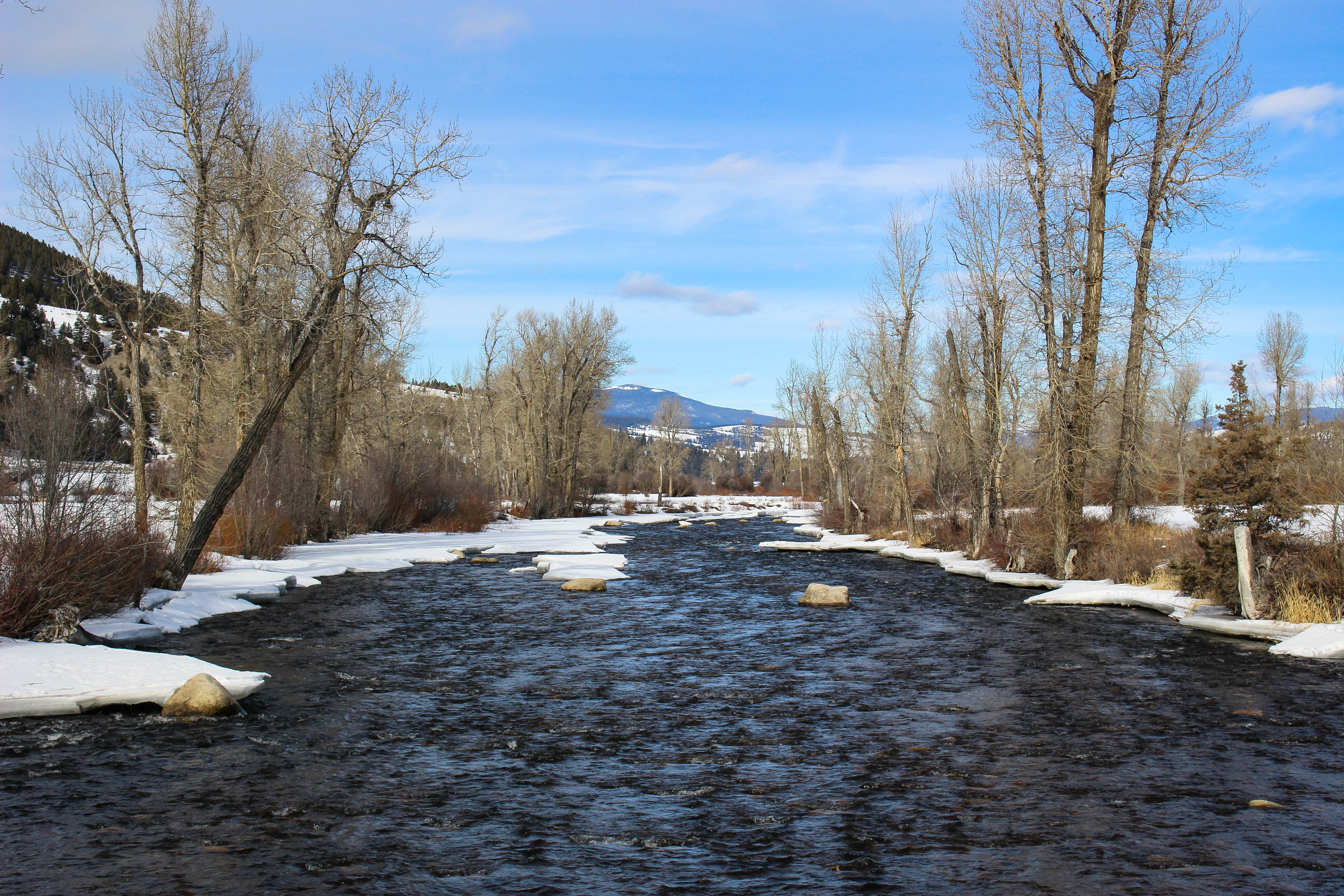 The Best Fly-Fishing in Montana 