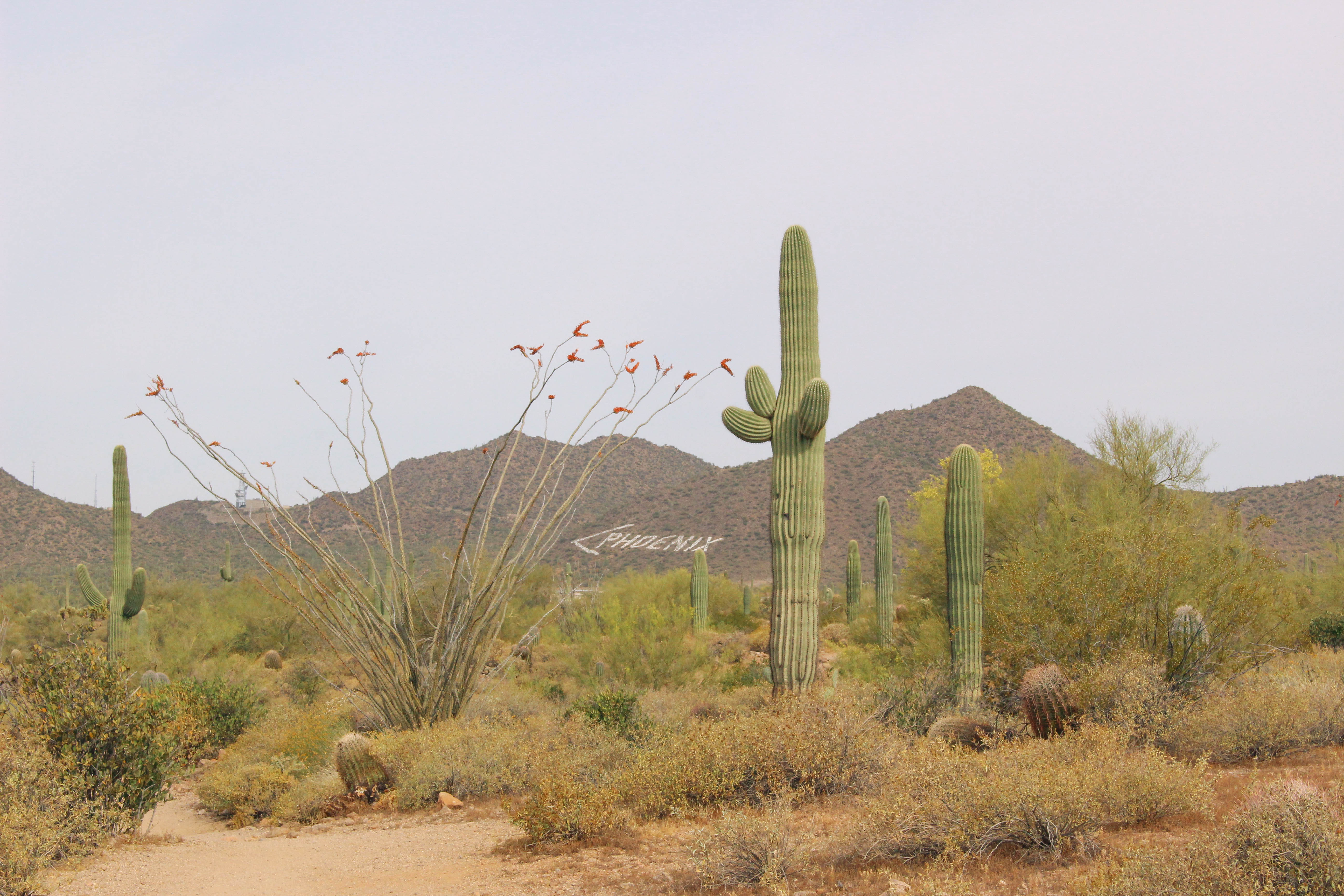 Usery Mountain AZ