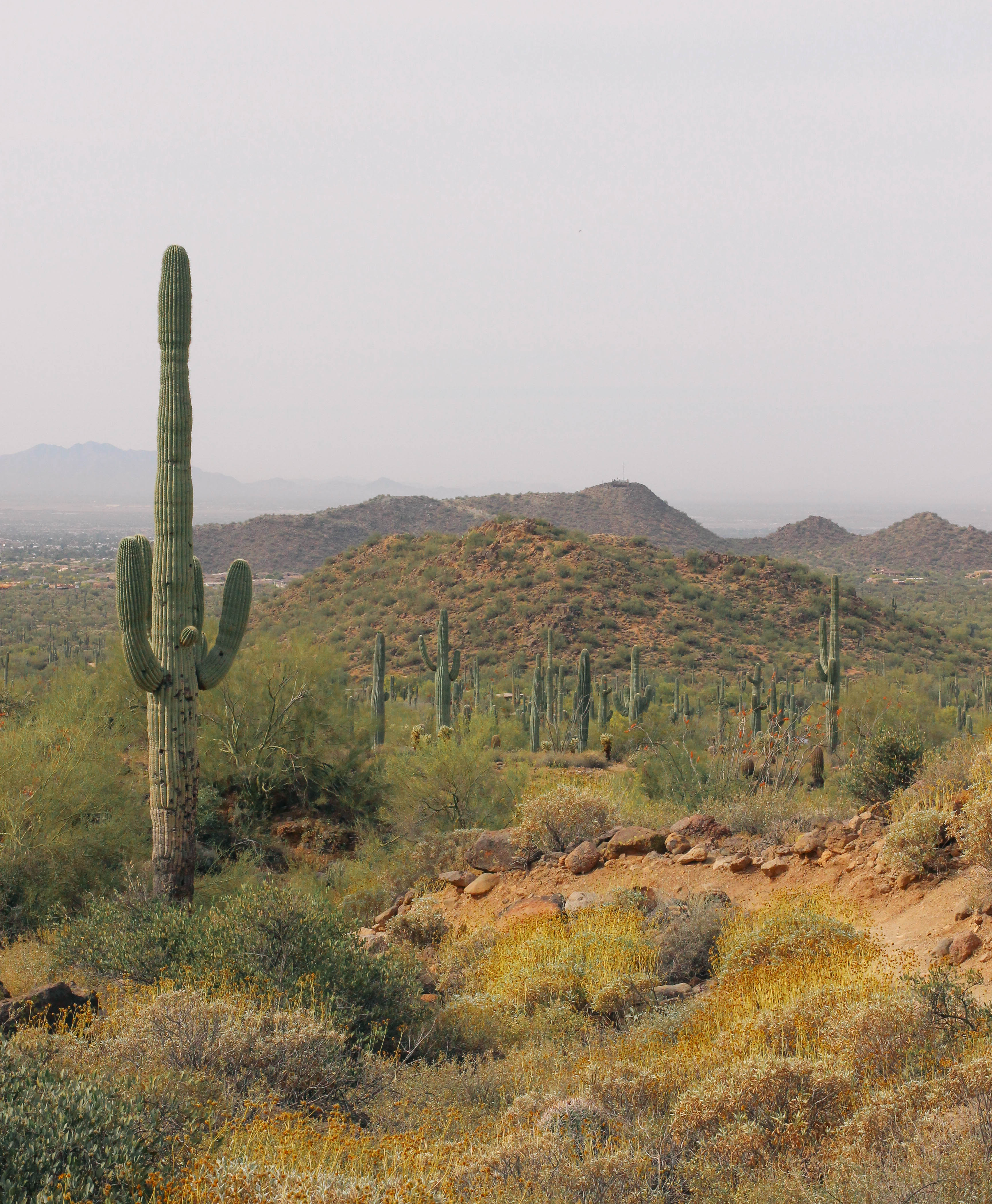 Usery Mountain AZ