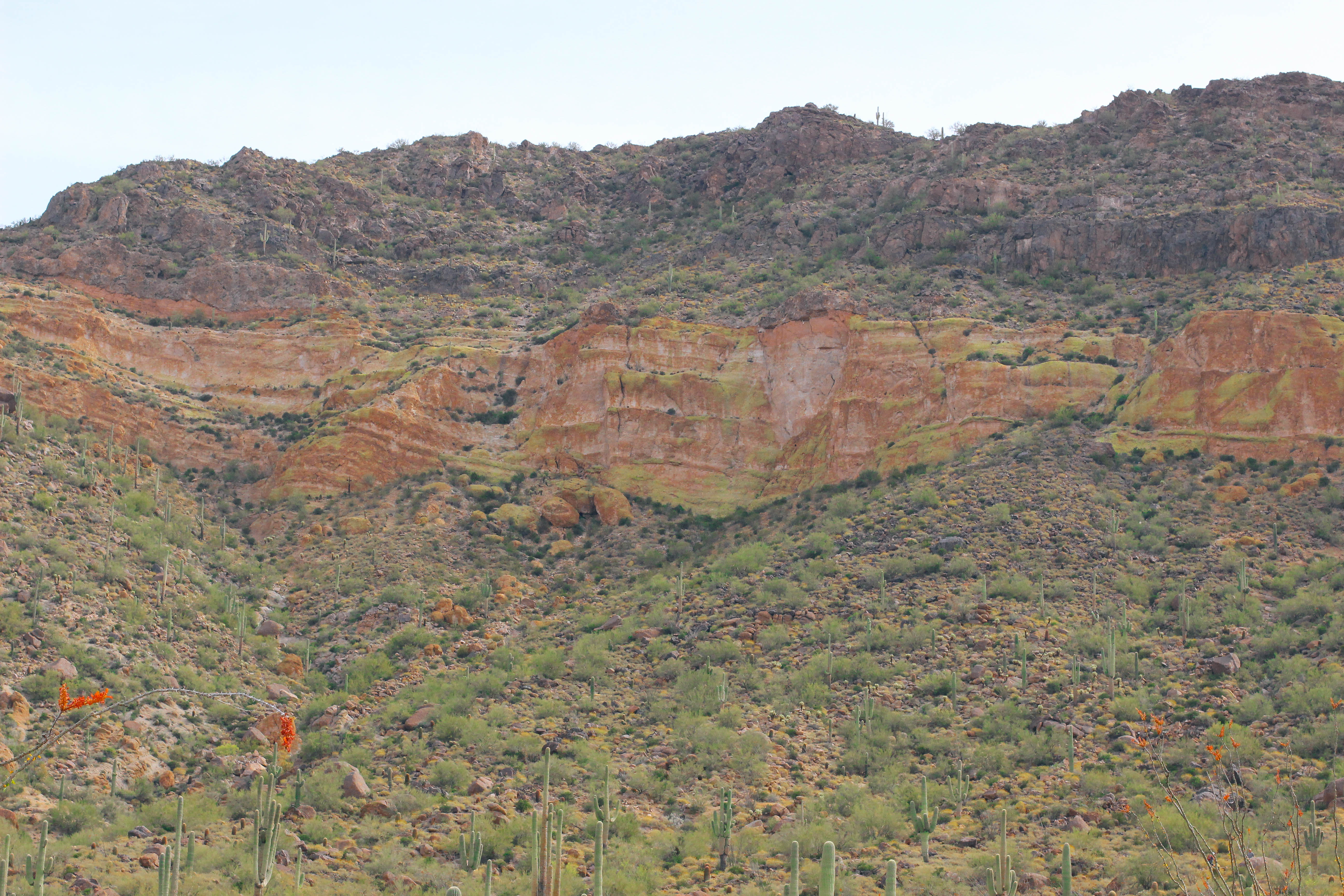 Usery Mountain AZ