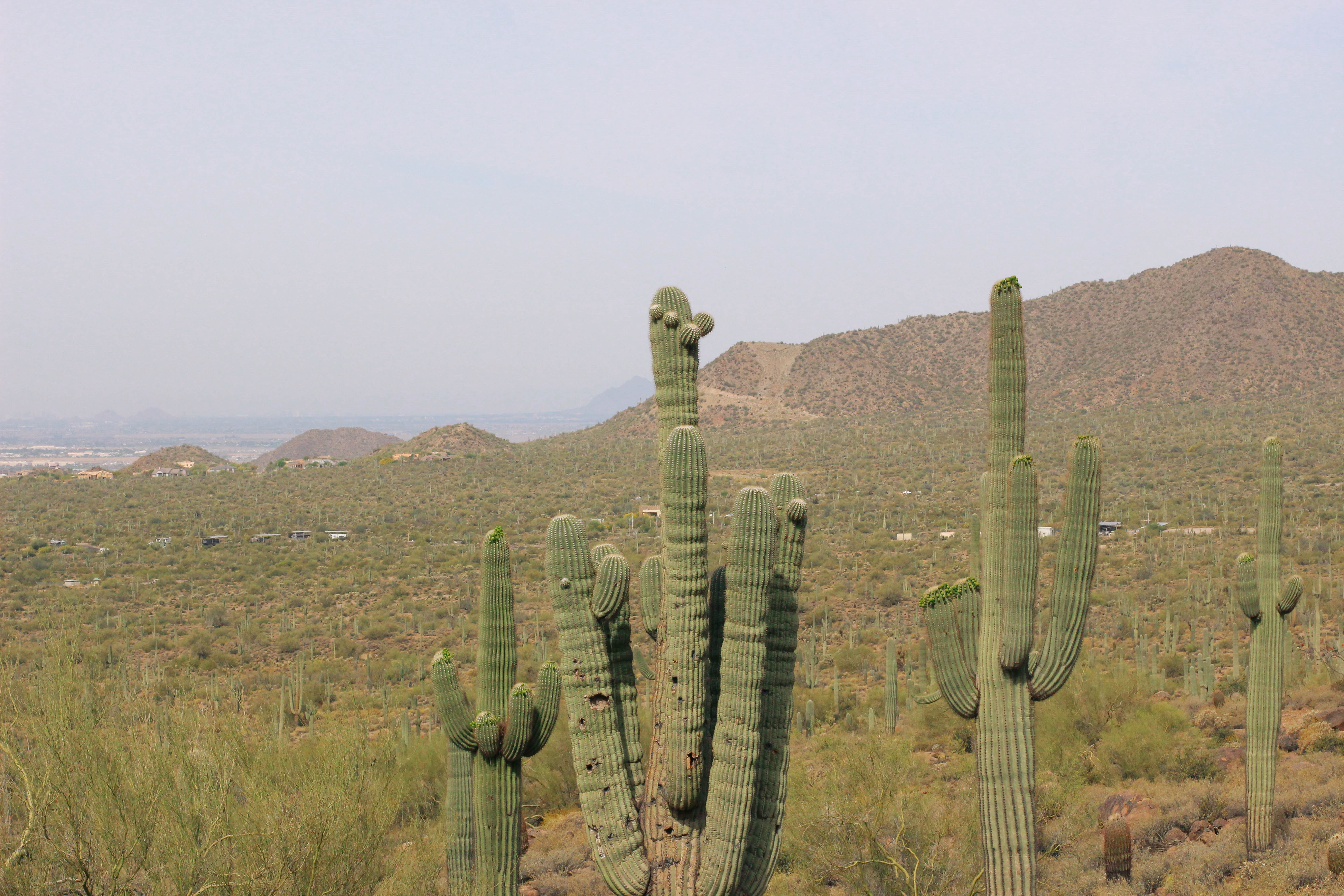 Usery Mountain AZ