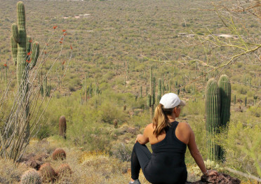 Usery Mountain AZ