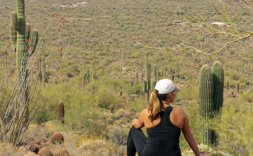 Usery Mountain AZ