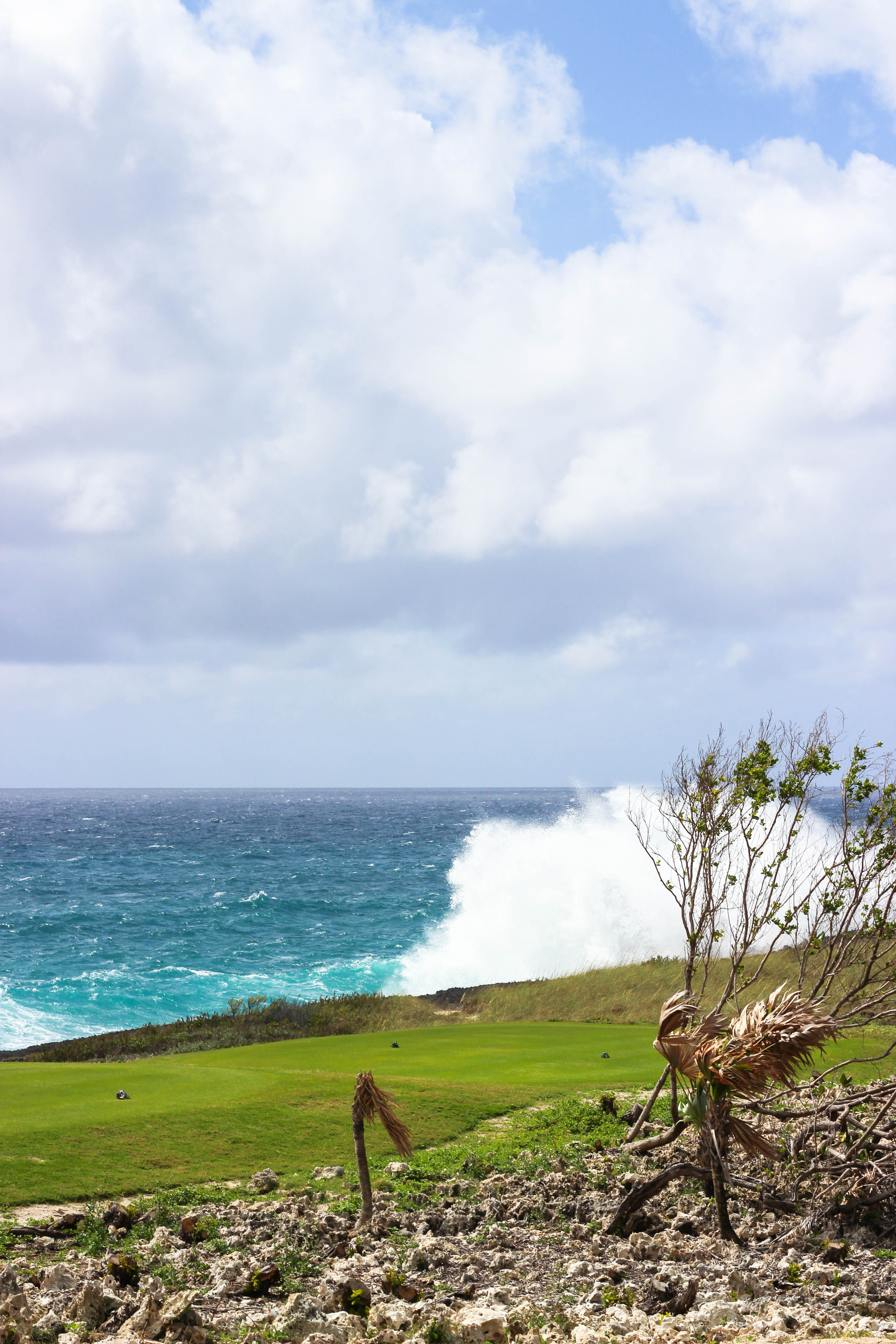 abaco club the bahamas golf