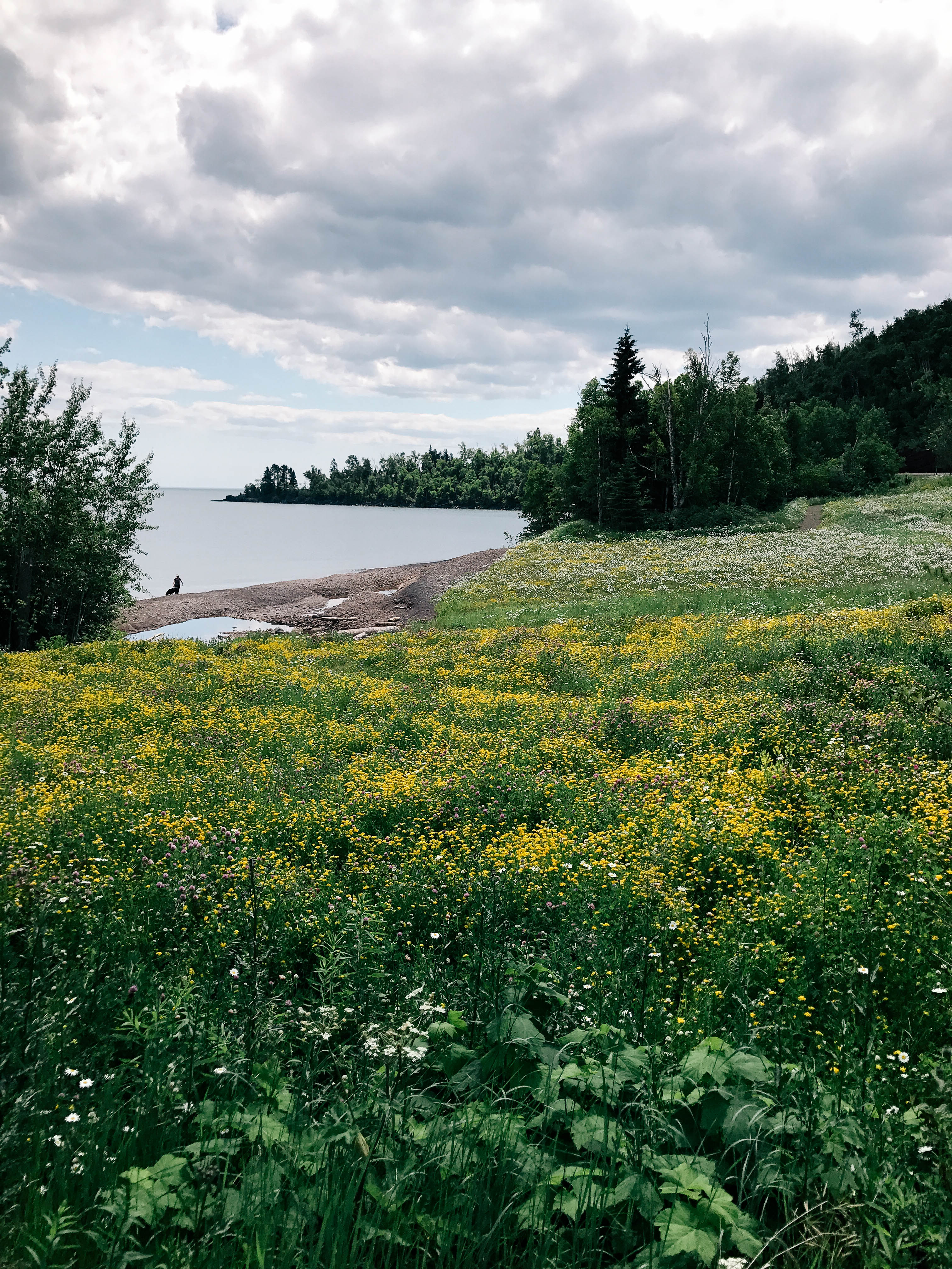 Grand Marais Destination Guide 