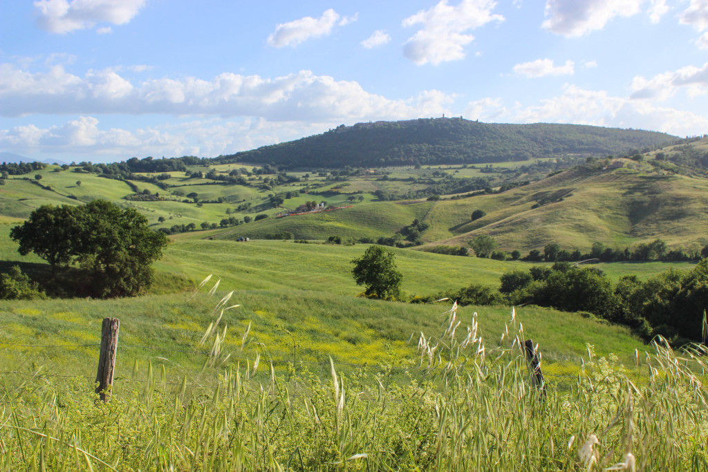 follonico bnb farmhouse tuscany italy hotel