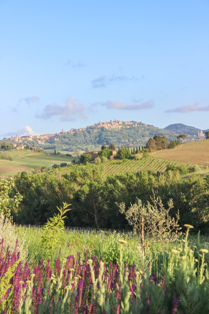 follonico bnb farmhouse tuscany italy hotel